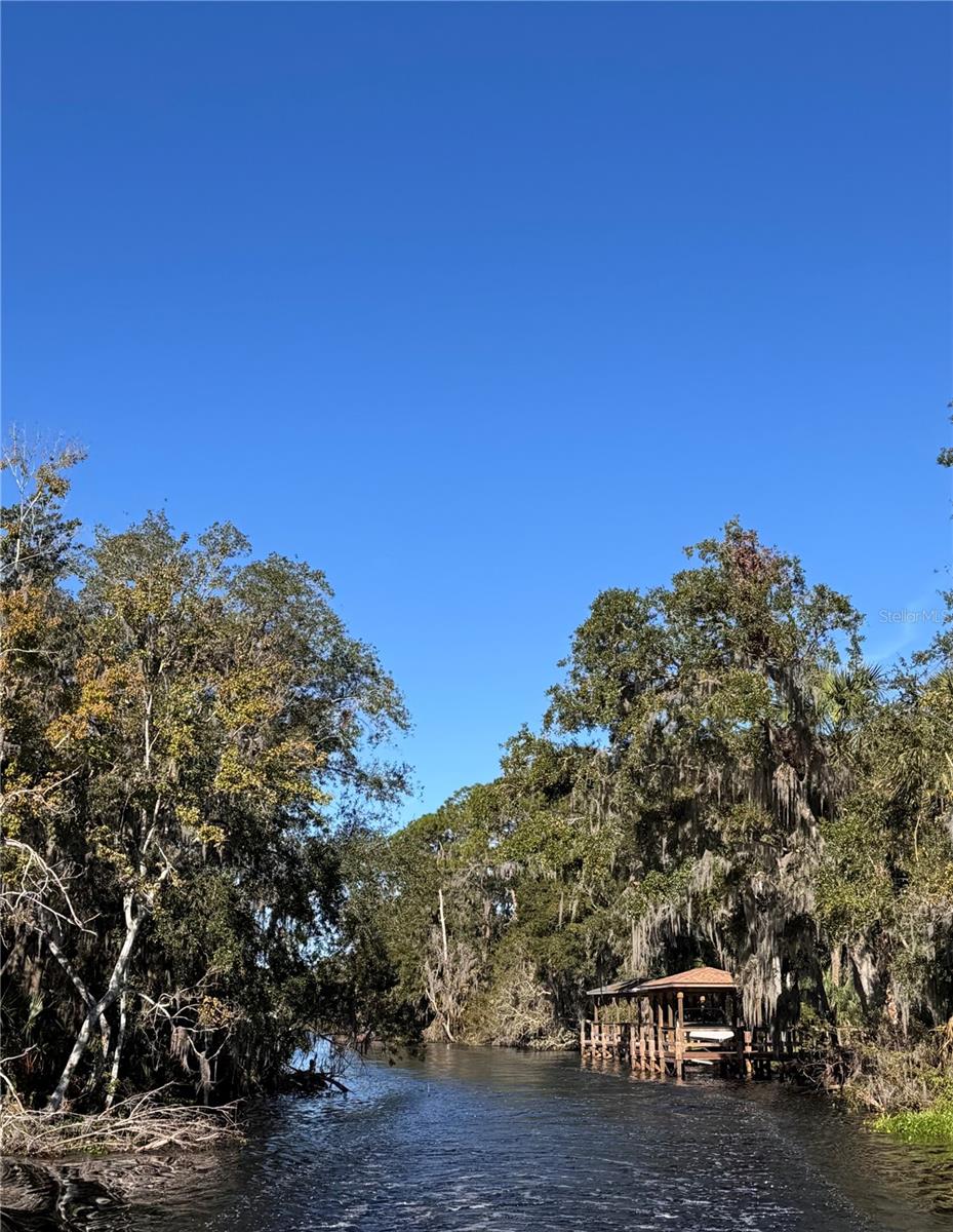3430 LAKE DIANE RD, TAVARES, FL, 32778