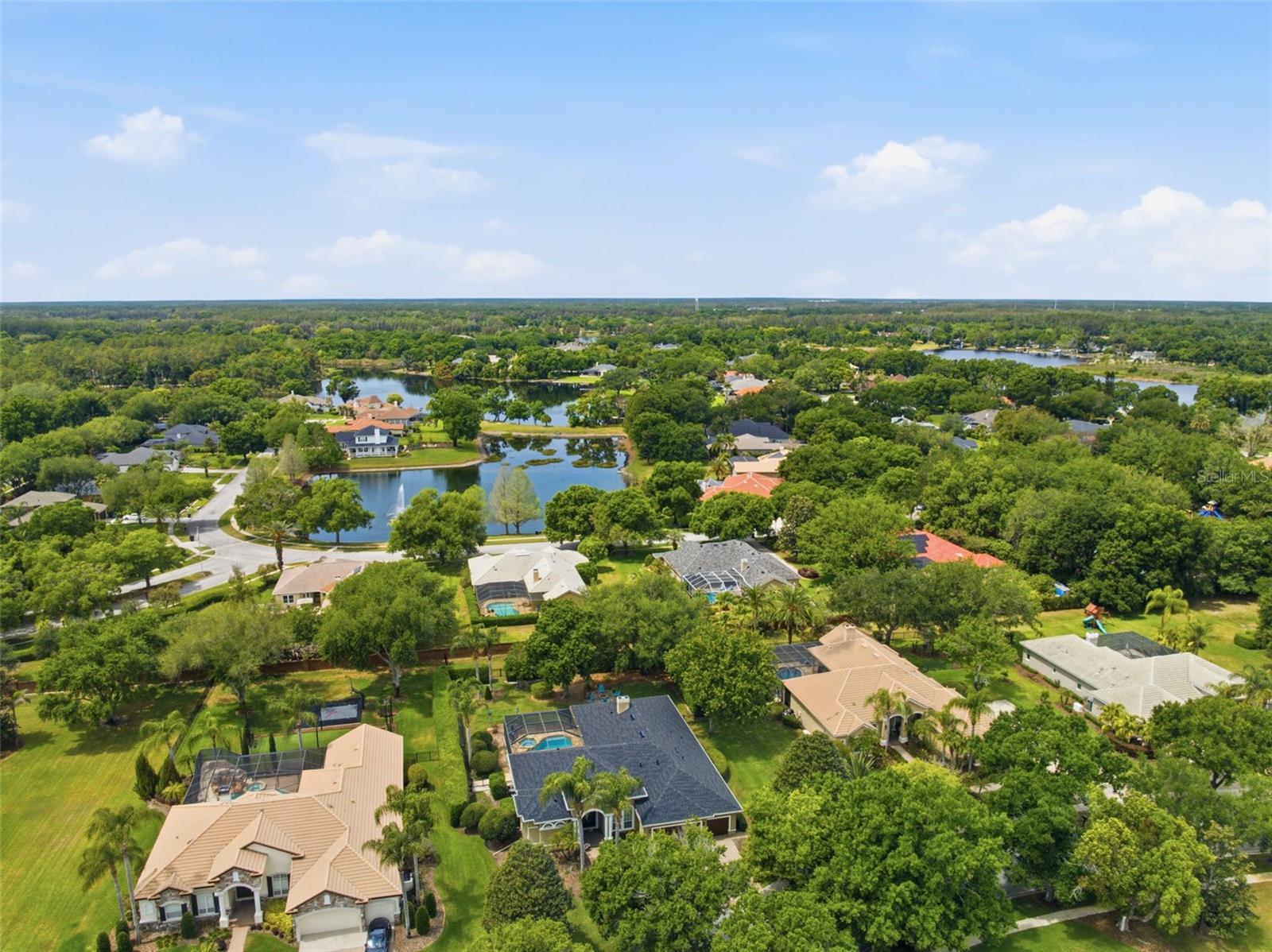 19708 WELLINGTON MANOR BLVD, LUTZ, FL, 33549