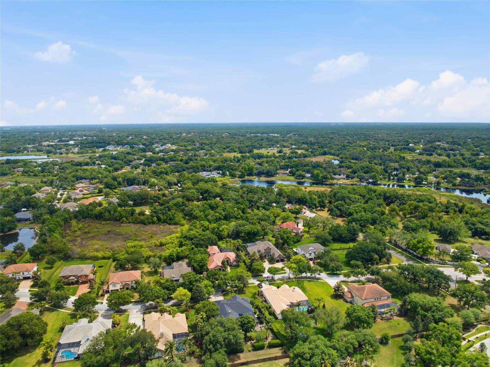 19708 WELLINGTON MANOR BLVD, LUTZ, FL, 33549