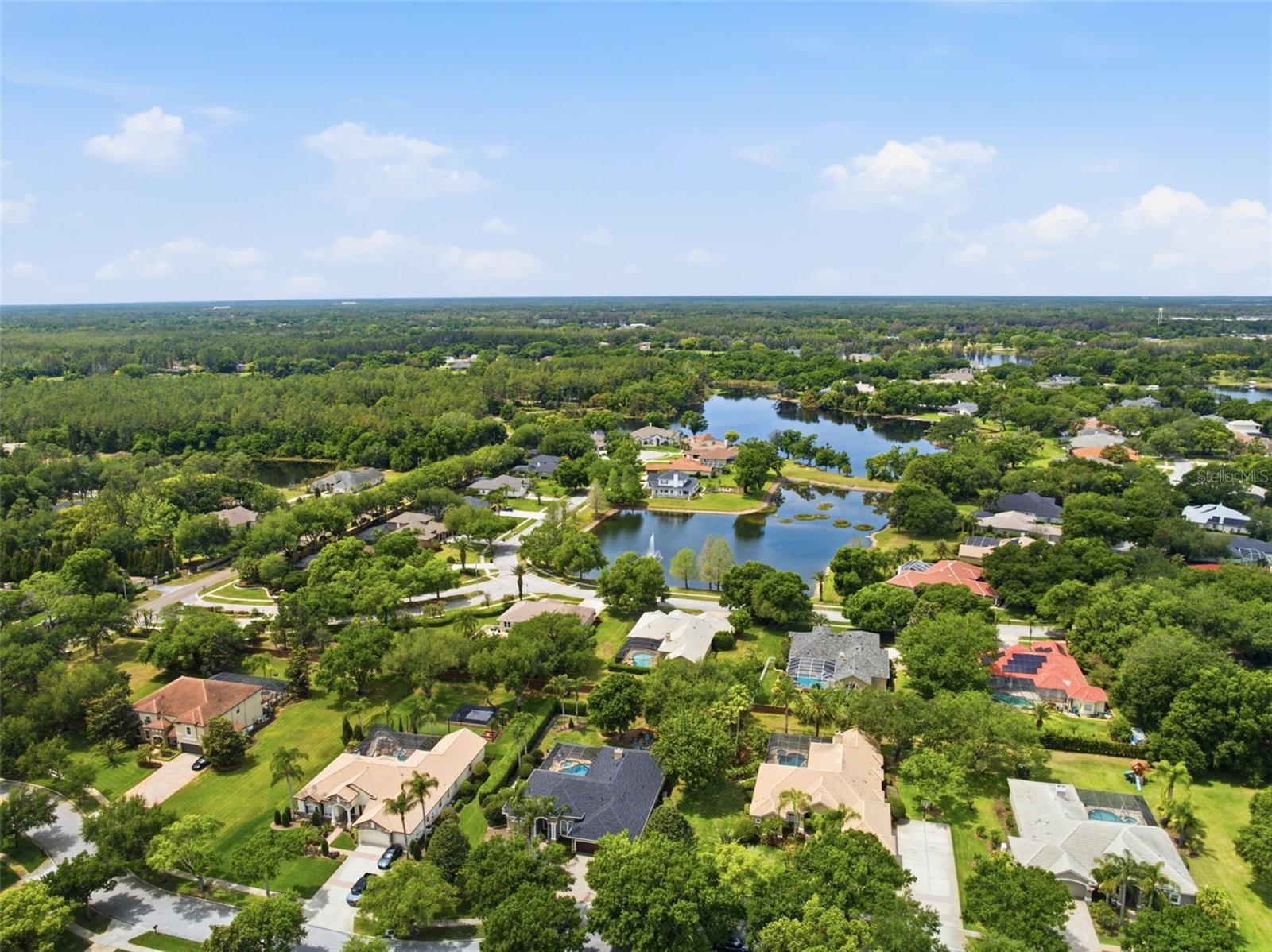 19708 WELLINGTON MANOR BLVD, LUTZ, FL, 33549
