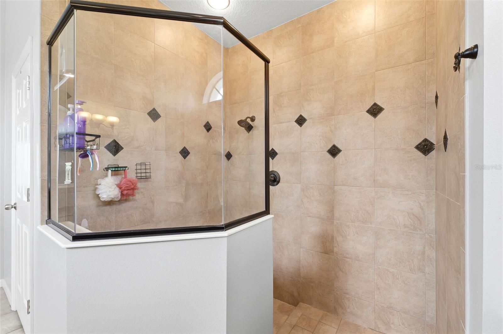 19708 WELLINGTON MANOR BLVD, LUTZ, FL, 33549