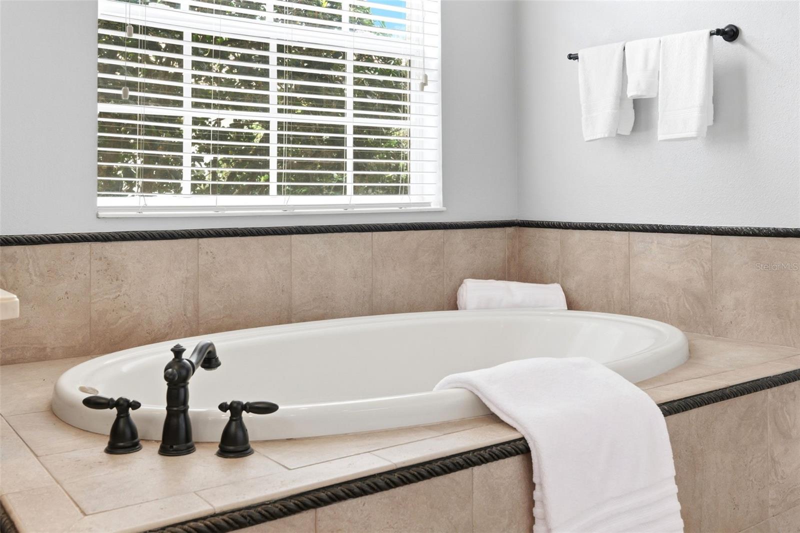 19708 WELLINGTON MANOR BLVD, LUTZ, FL, 33549