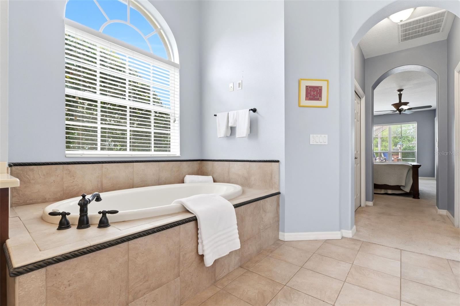 19708 WELLINGTON MANOR BLVD, LUTZ, FL, 33549