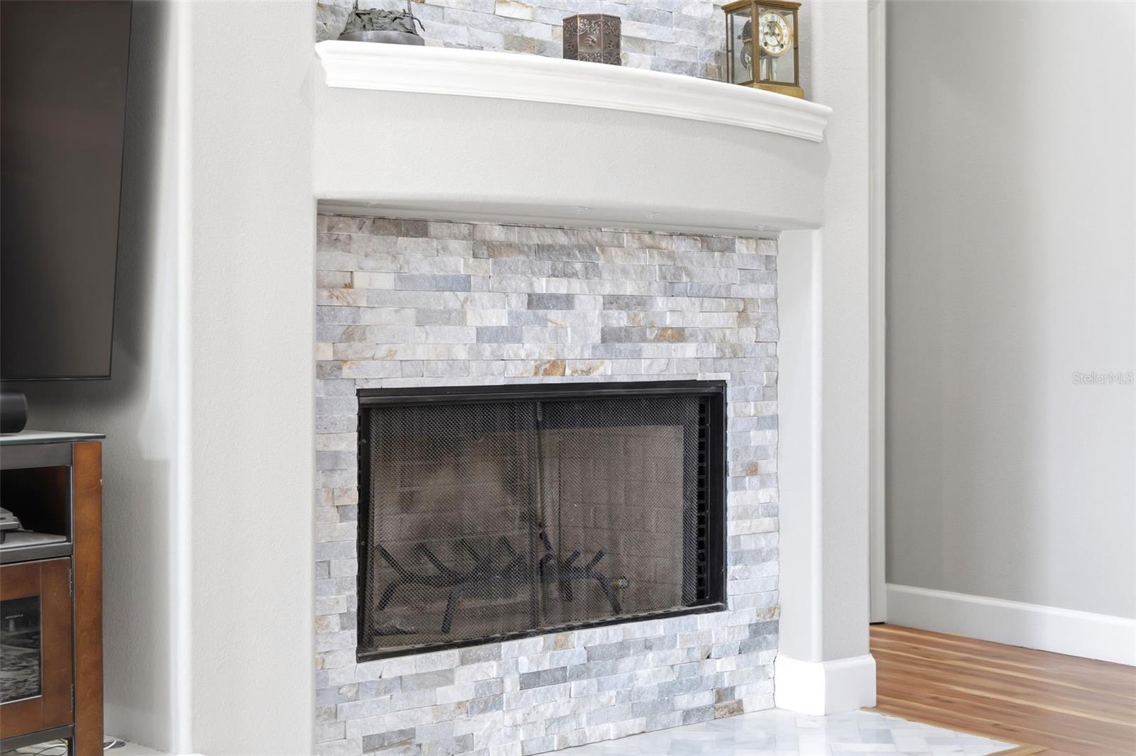 19708 WELLINGTON MANOR BLVD, LUTZ, FL, 33549
