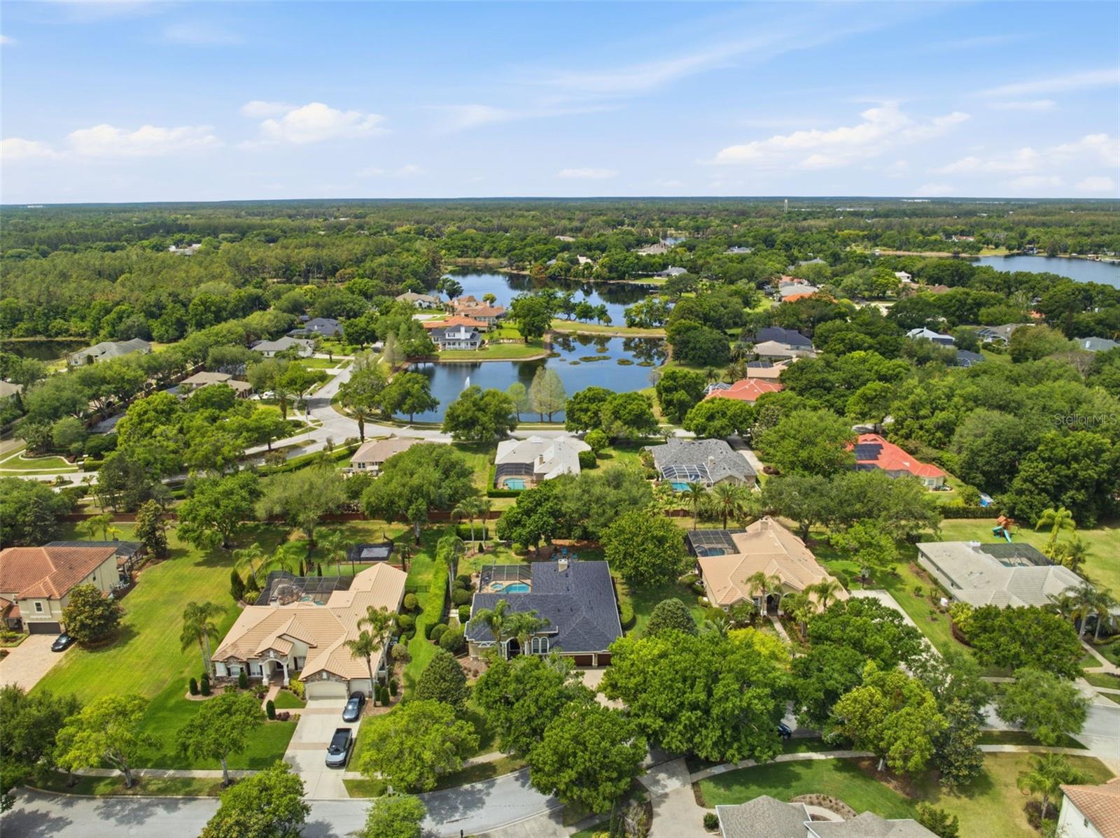19708 WELLINGTON MANOR BLVD, LUTZ, FL, 33549