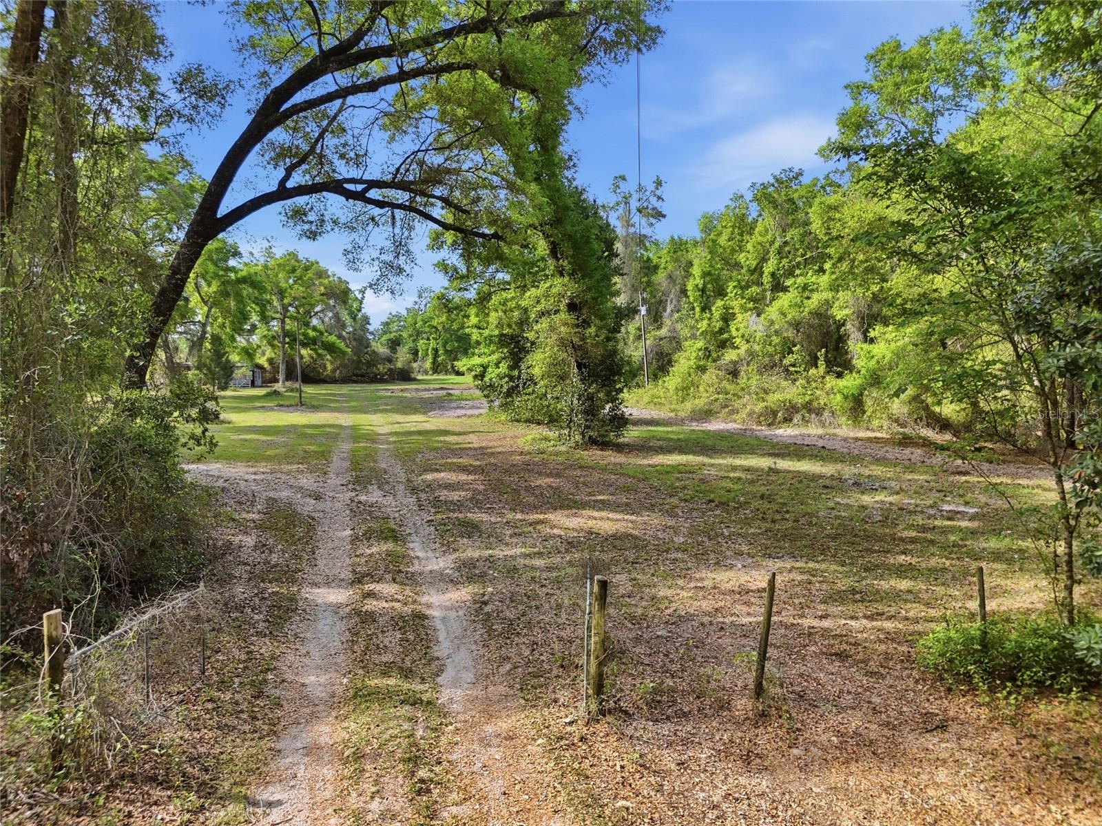 3450 NW 110TH ST, CHIEFLAND, FL, 32626