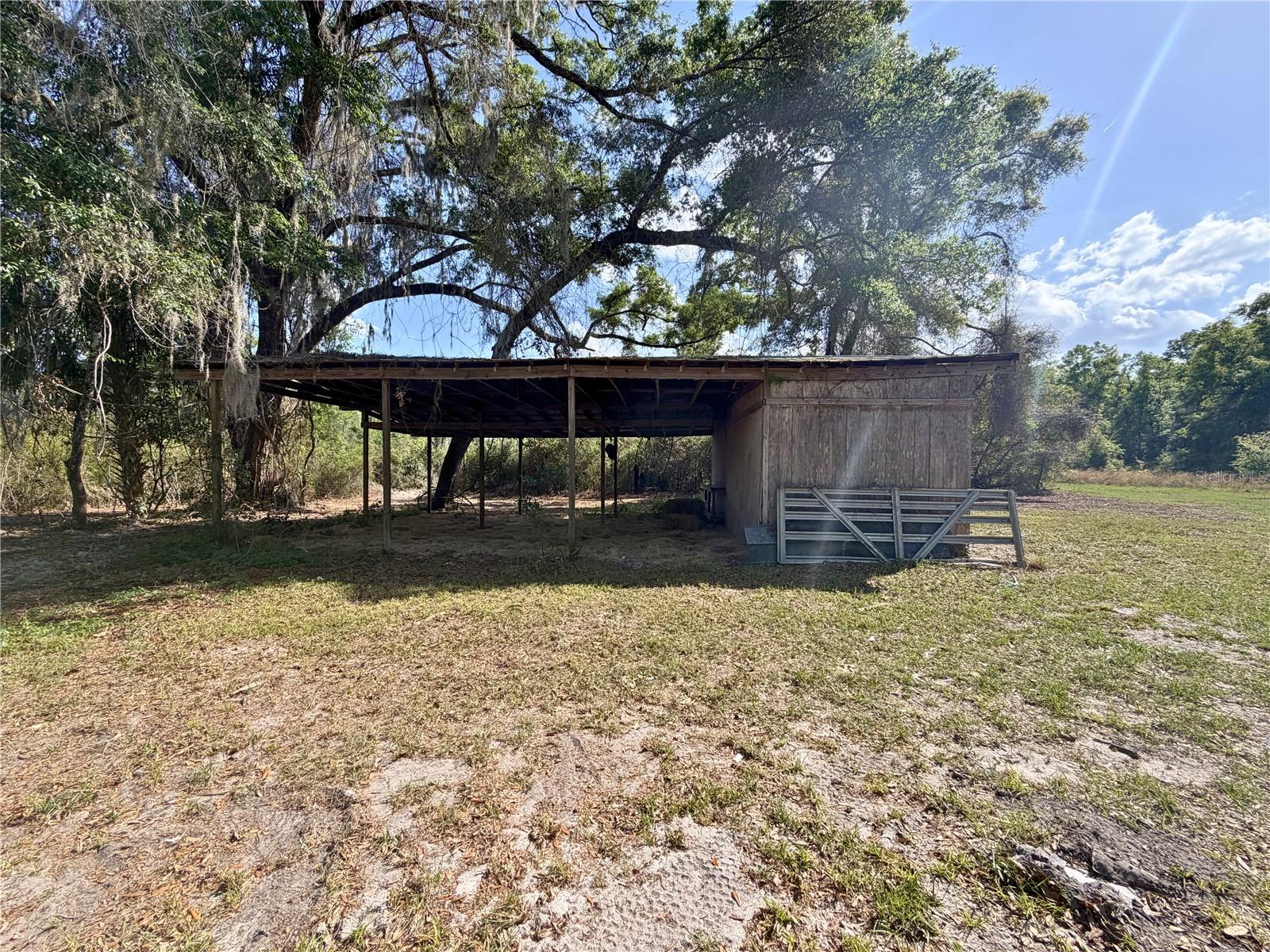 3450 NW 110TH ST, CHIEFLAND, FL, 32626