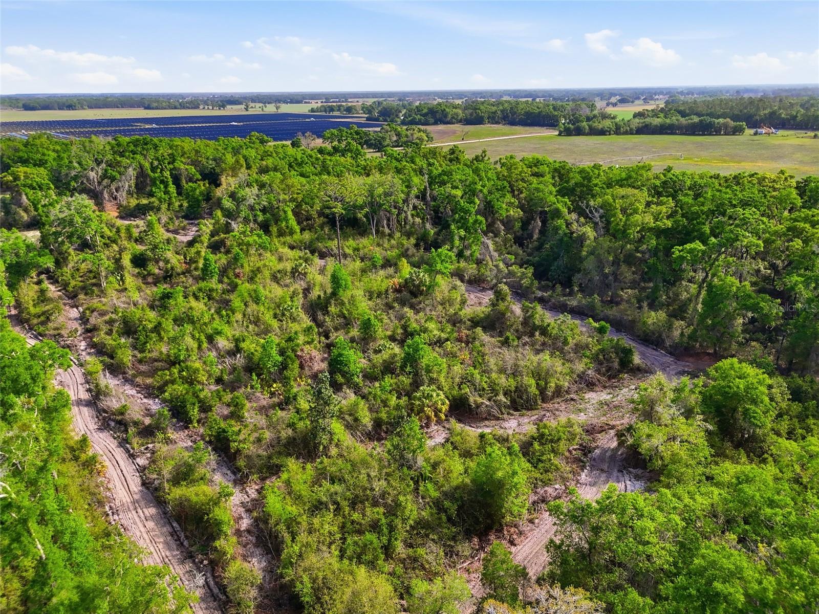 3450 NW 110TH ST, CHIEFLAND, FL, 32626