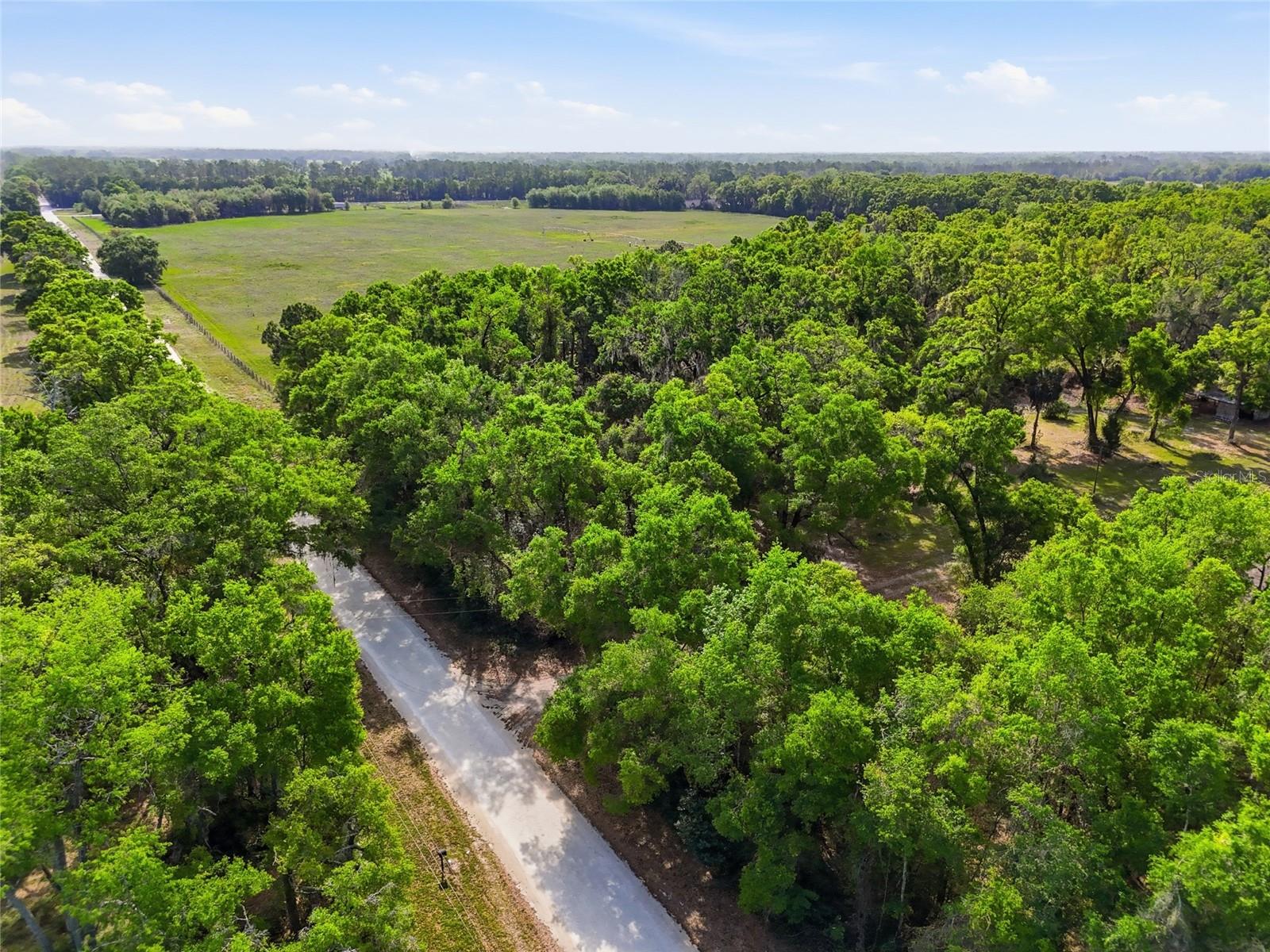 3450 NW 110TH ST, CHIEFLAND, FL, 32626