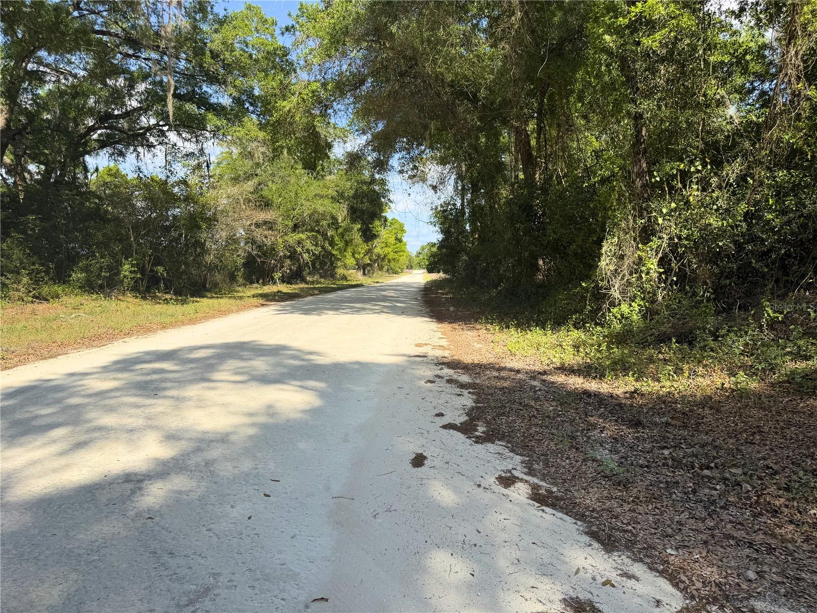 3450 NW 110TH ST, CHIEFLAND, FL, 32626