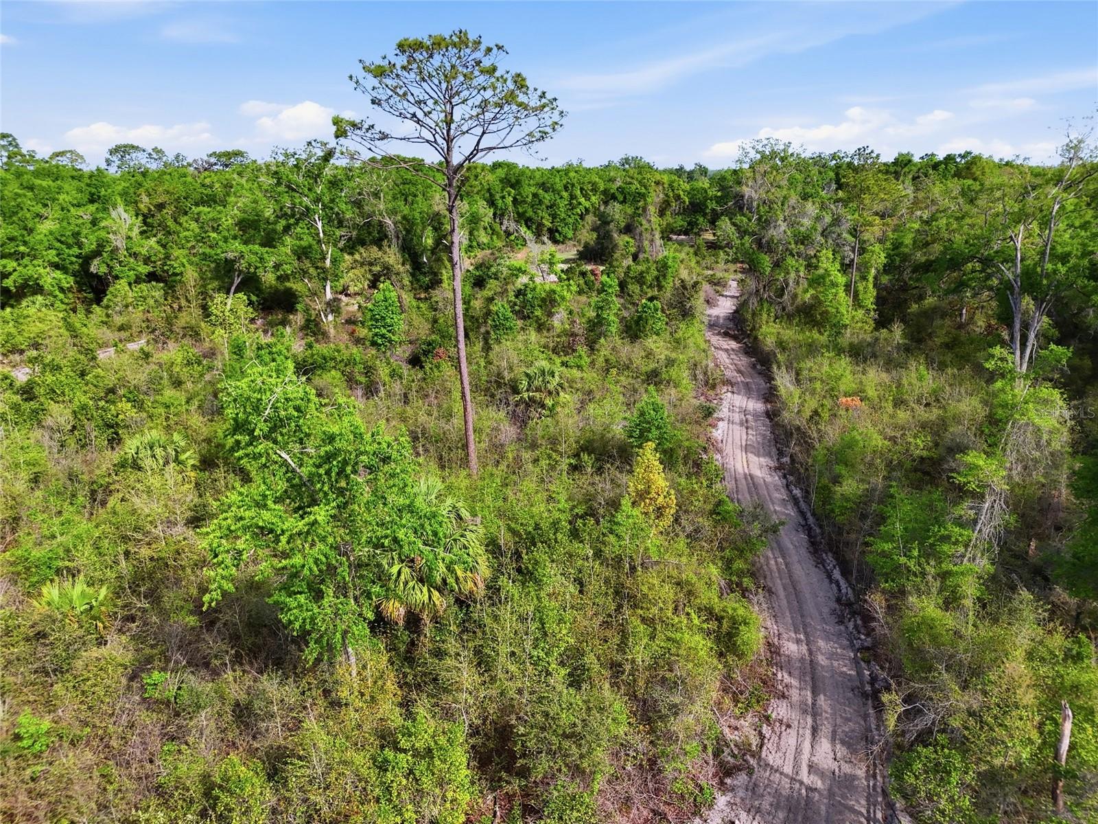 3450 NW 110TH ST, CHIEFLAND, FL, 32626