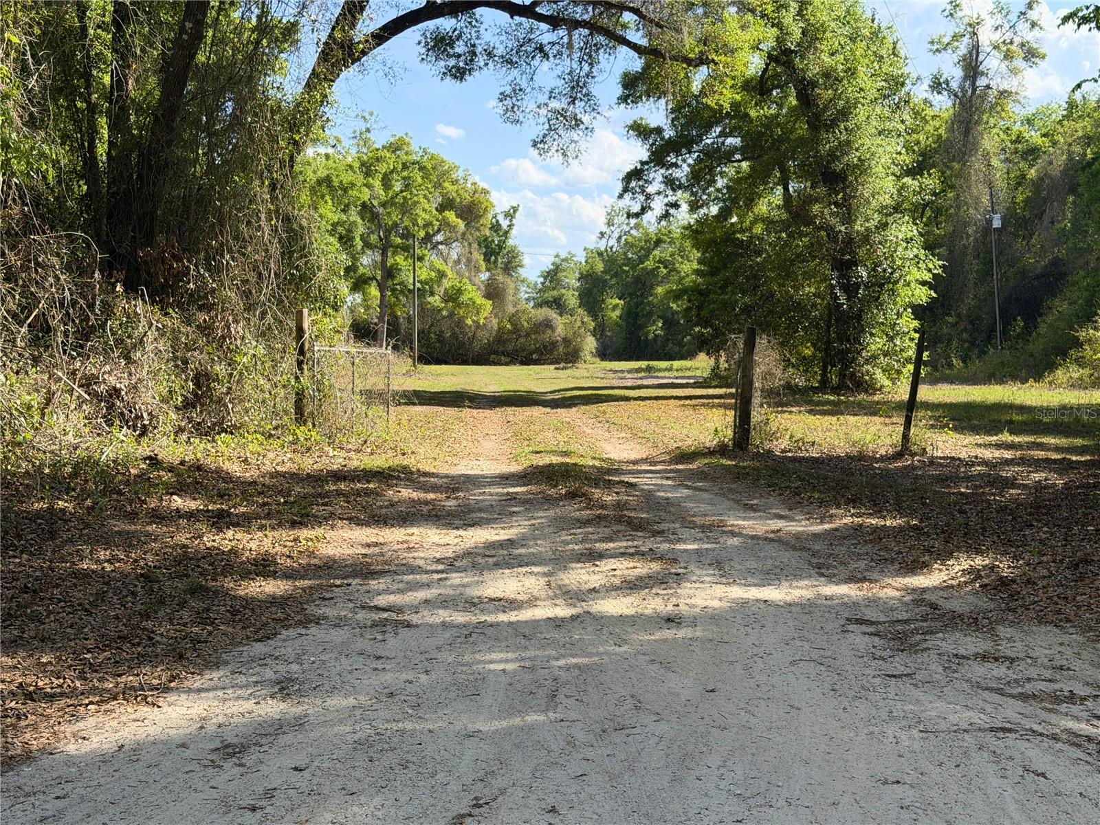 3450 NW 110TH ST, CHIEFLAND, FL, 32626