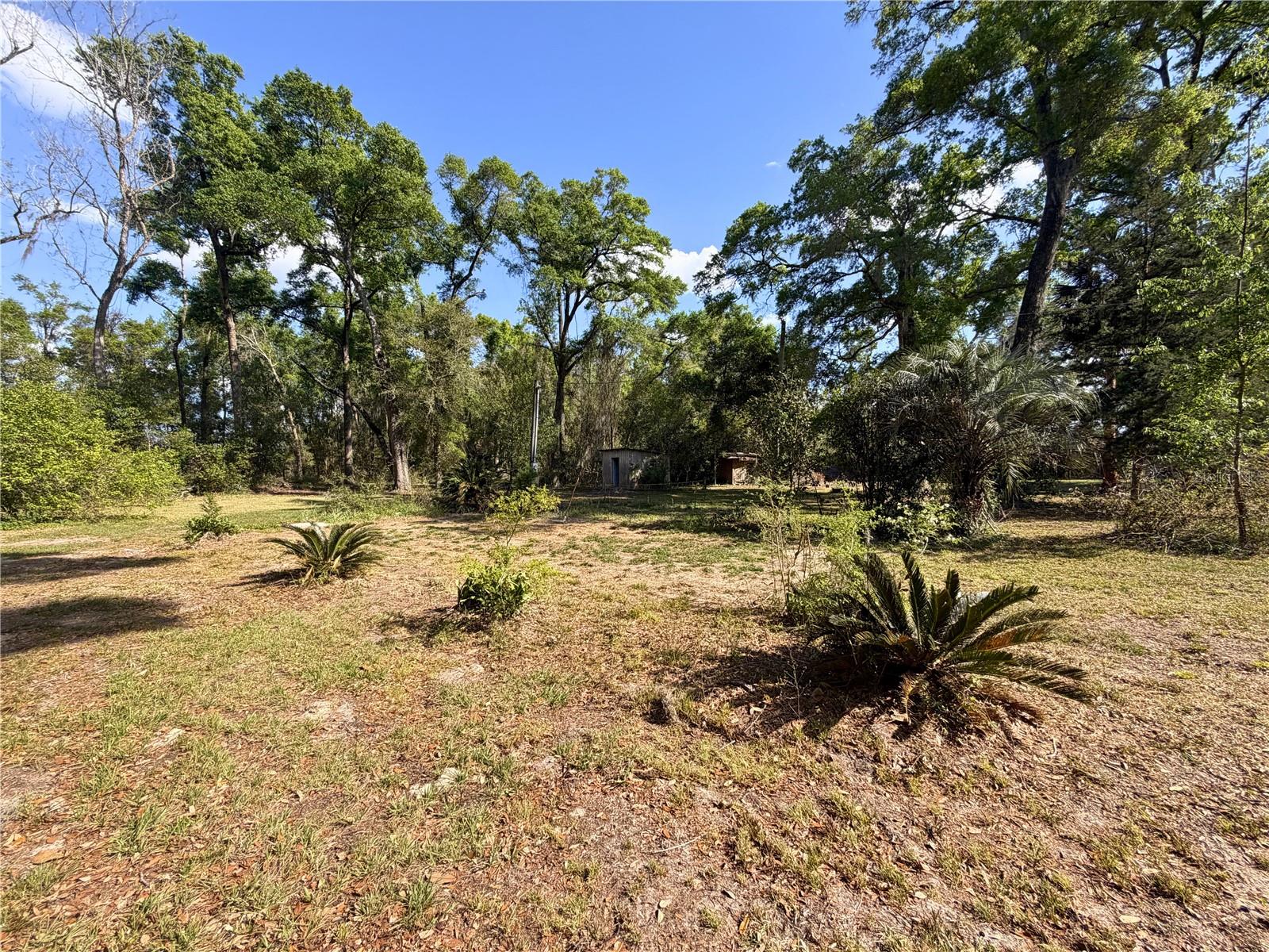 3450 NW 110TH ST, CHIEFLAND, FL, 32626