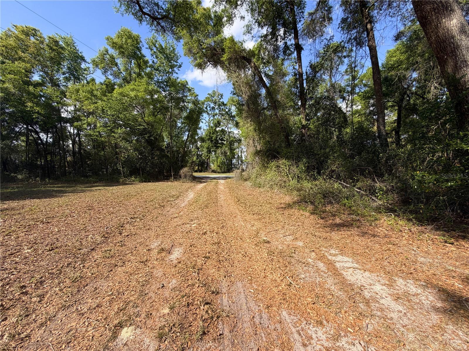 3450 NW 110TH ST, CHIEFLAND, FL, 32626