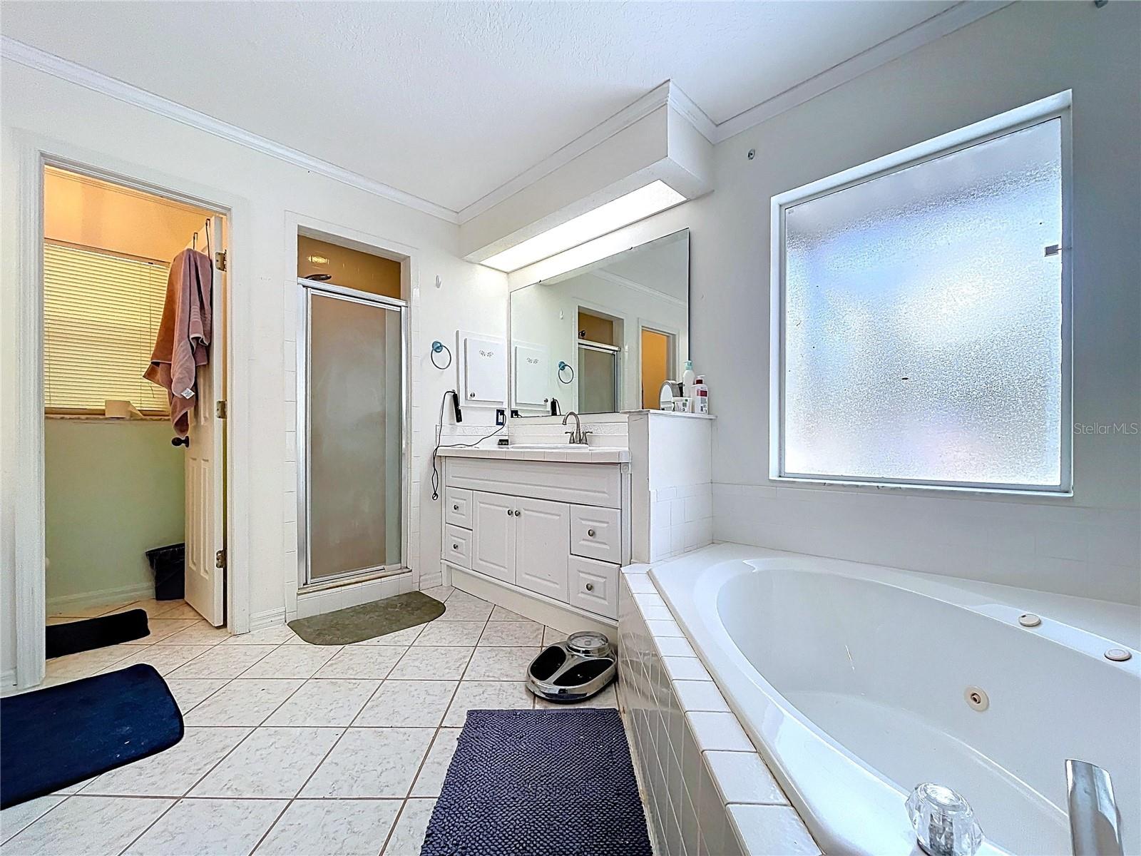 8402 SOUTHWOOD PINES ST, LITHIA, FL, 33547