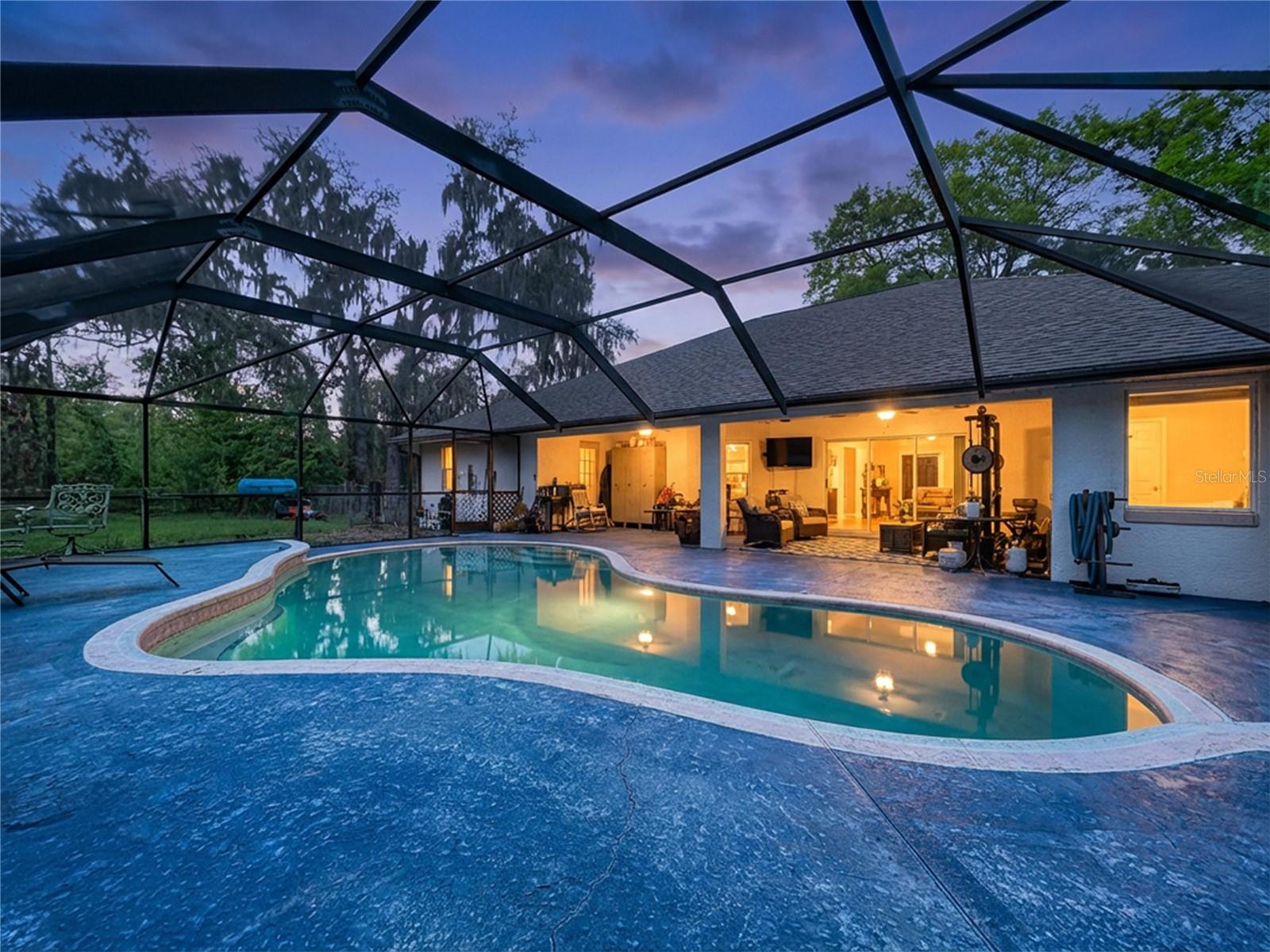 8402 SOUTHWOOD PINES ST, LITHIA, FL, 33547