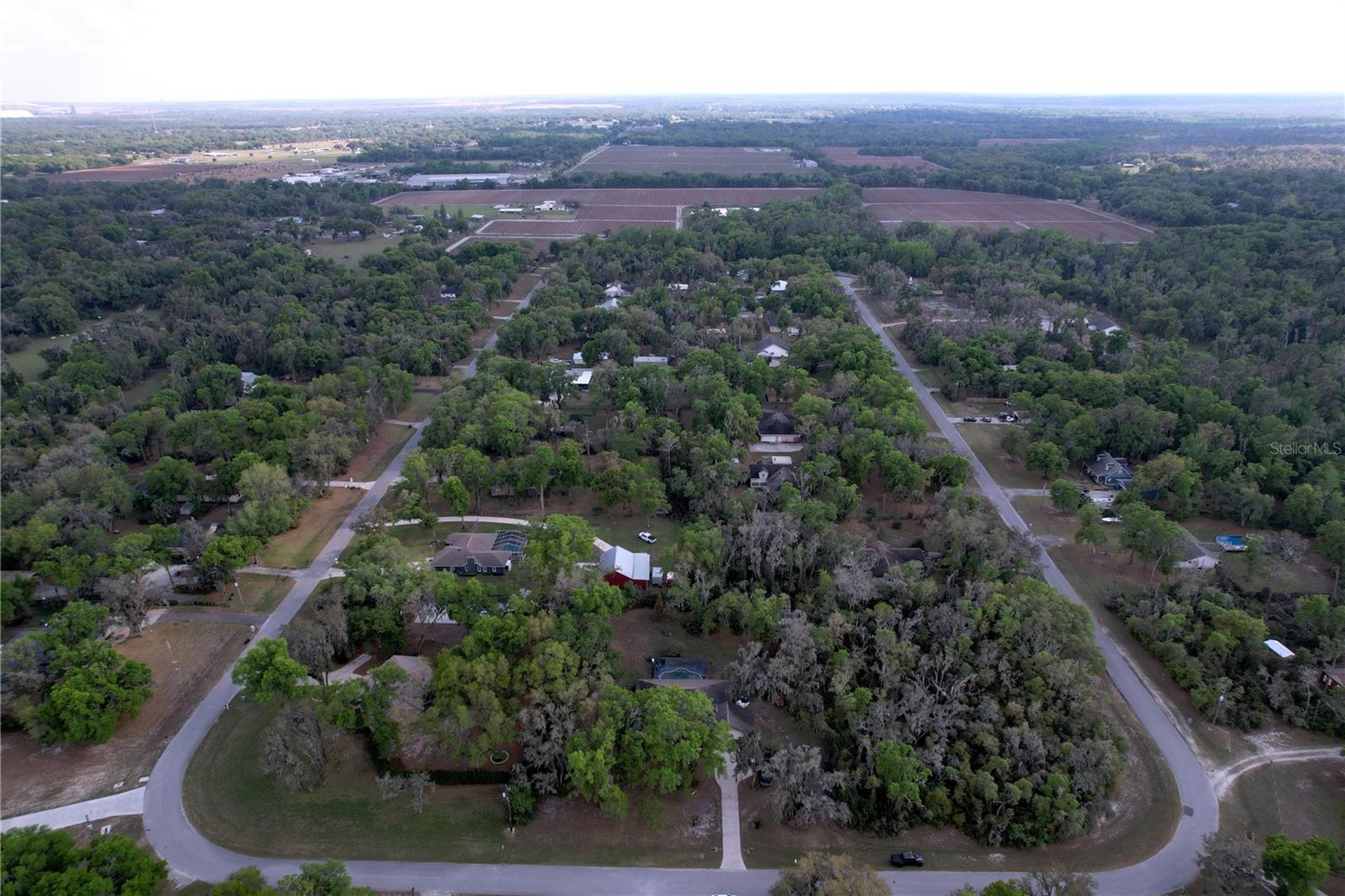 8402 SOUTHWOOD PINES ST, LITHIA, FL, 33547