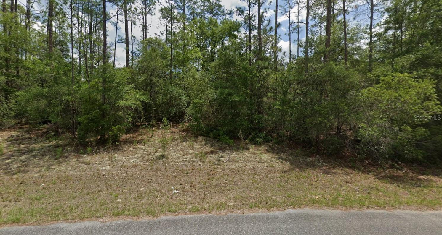 6477 N ELNORA WAY, DUNNELLON, FL, 34433