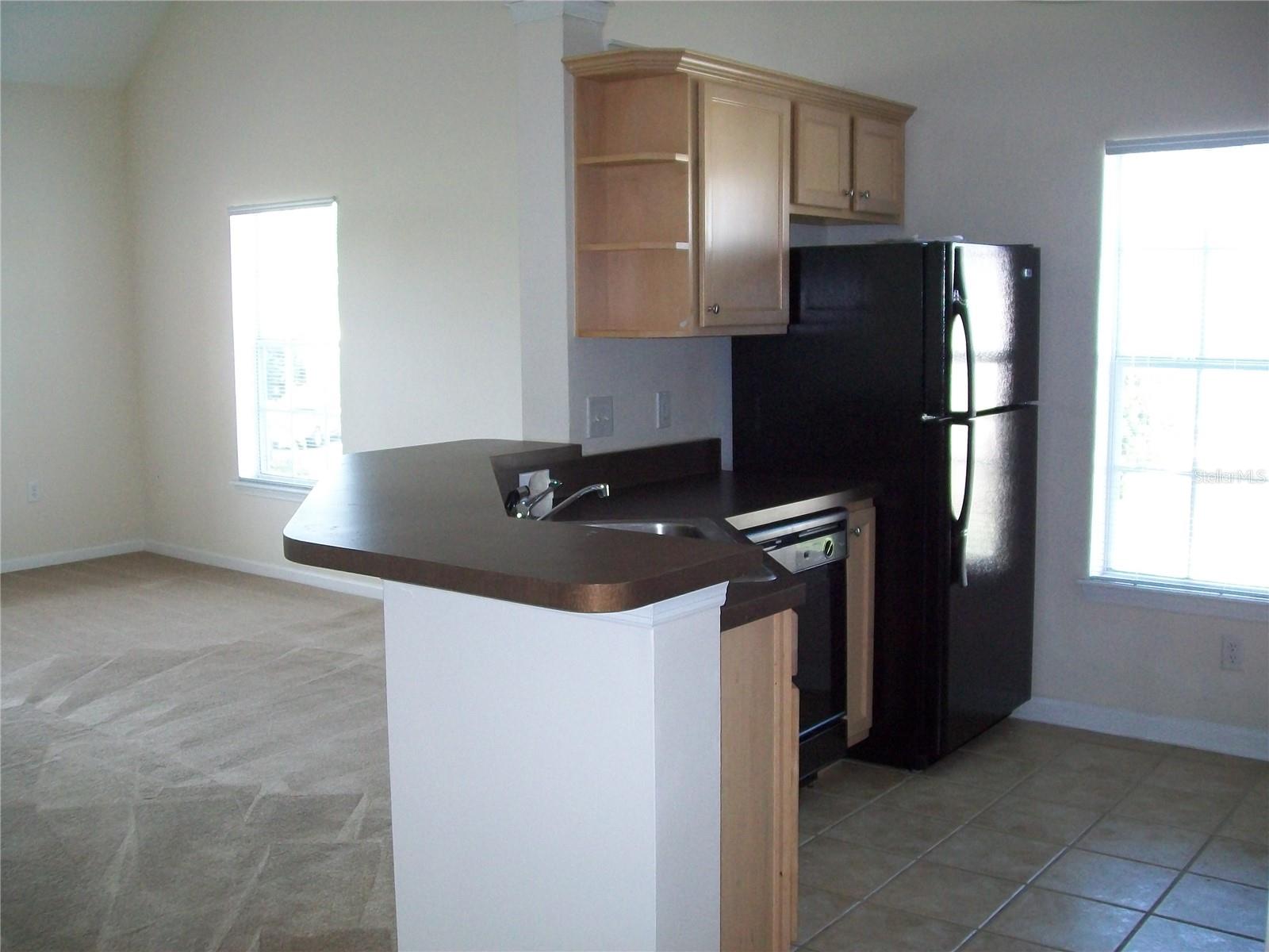 12807 MADISON POINTE CIR #203, ORLANDO, FL, 32821