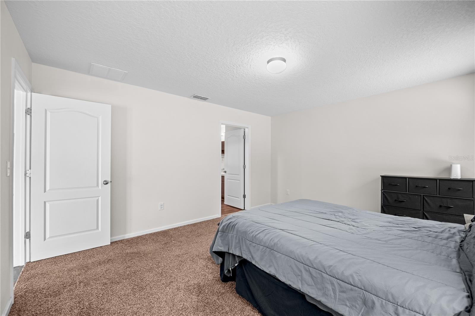 2878 BUCK CREEK PL, GREEN COVE SPRINGS, FL, 32043