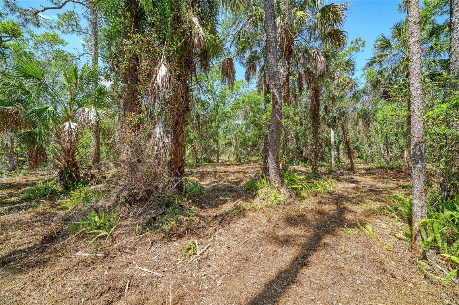 3612 57TH ST E, BRADENTON, FL, 34208