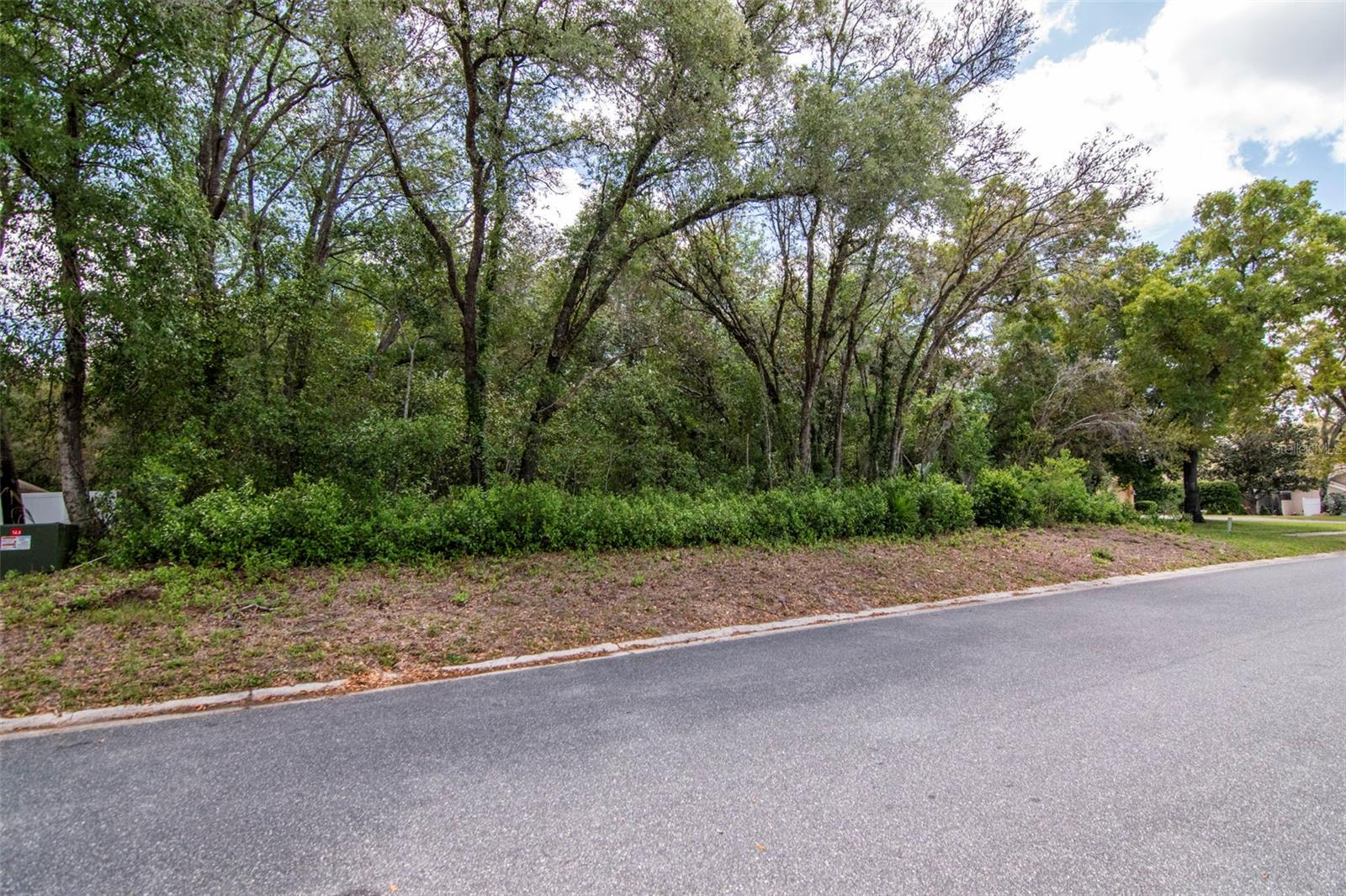 Lot 111 WINDING OAKS BLVD, HUDSON, FL, 34667