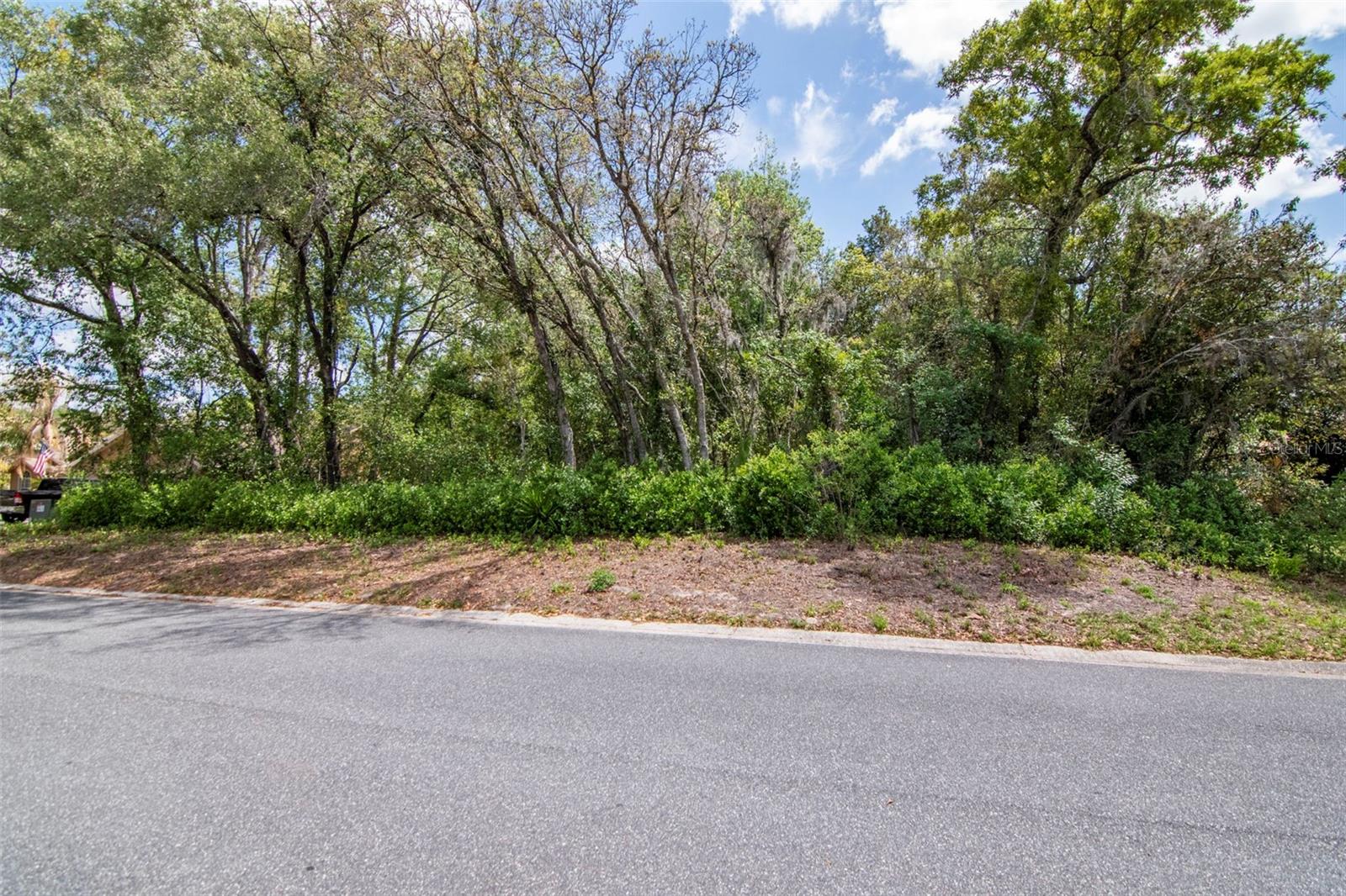 Lot 111 WINDING OAKS BLVD, HUDSON, FL, 34667