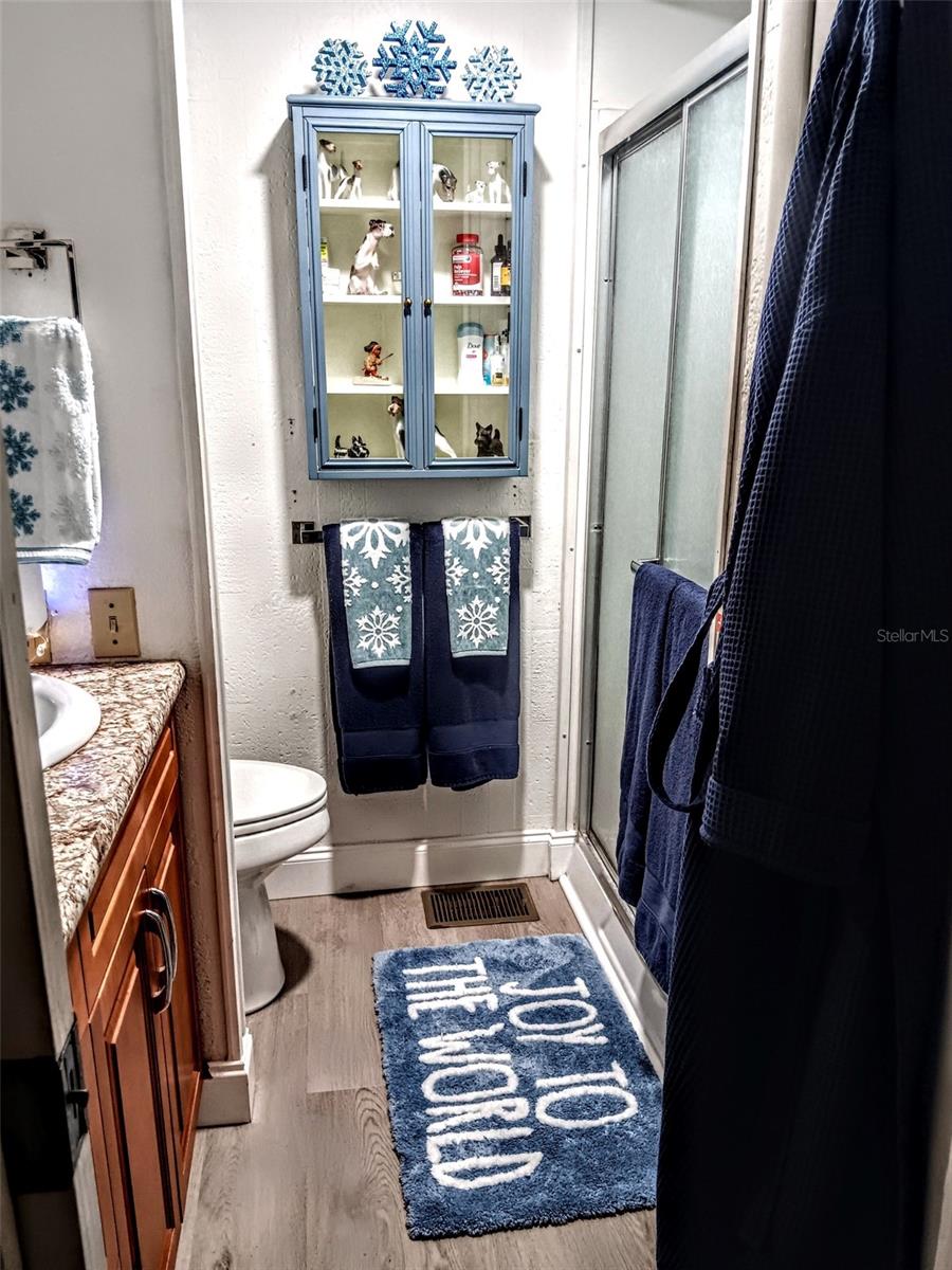 103 ROYAL PALM DR, LEESBURG, FL, 34748