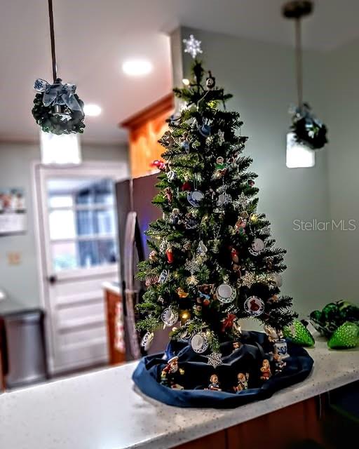 103 ROYAL PALM DR, LEESBURG, FL, 34748