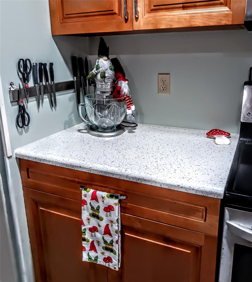 103 ROYAL PALM DR, LEESBURG, FL, 34748