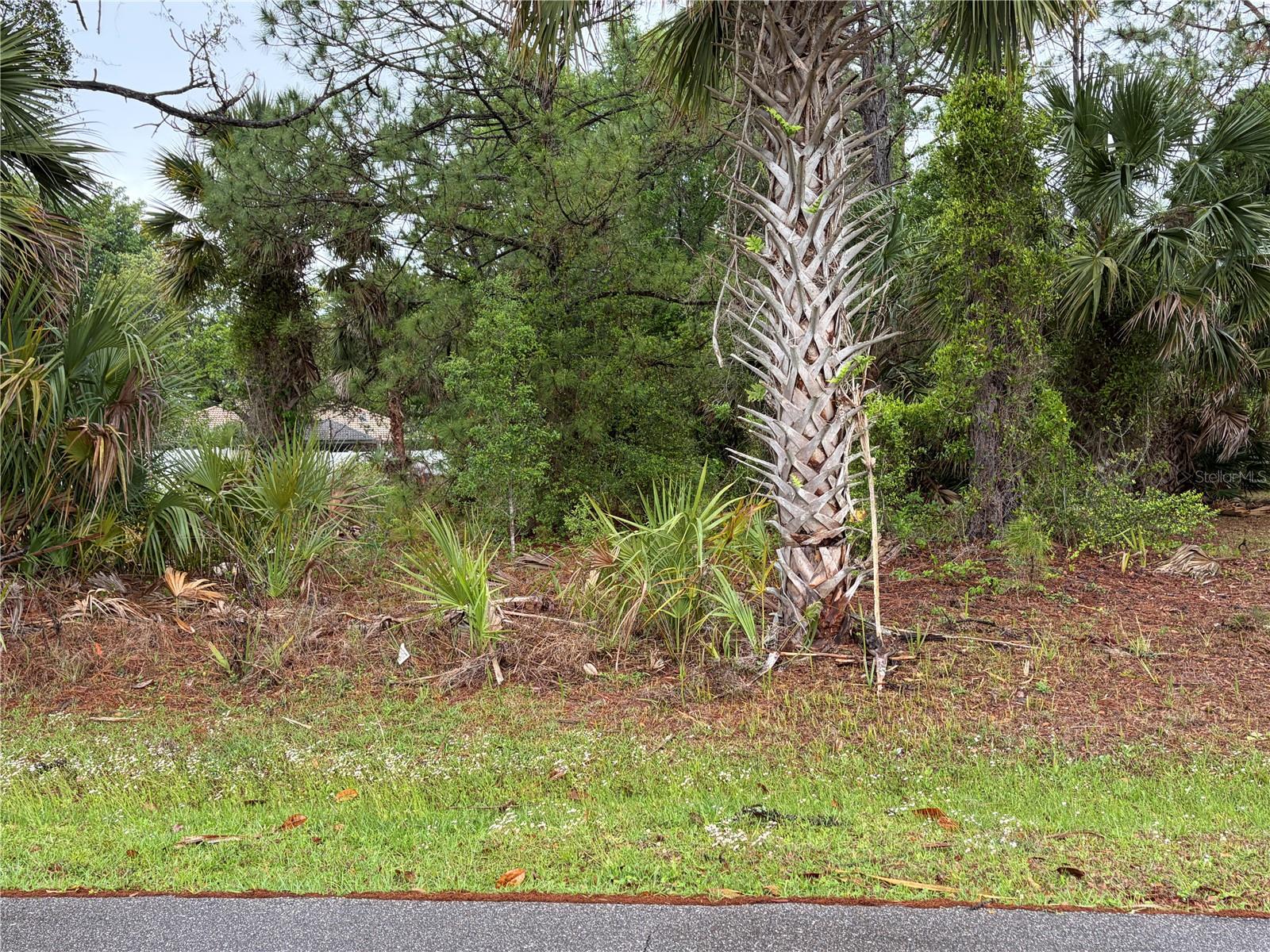 31 WHITTINGHAM LN, PALM COAST, FL, 32164