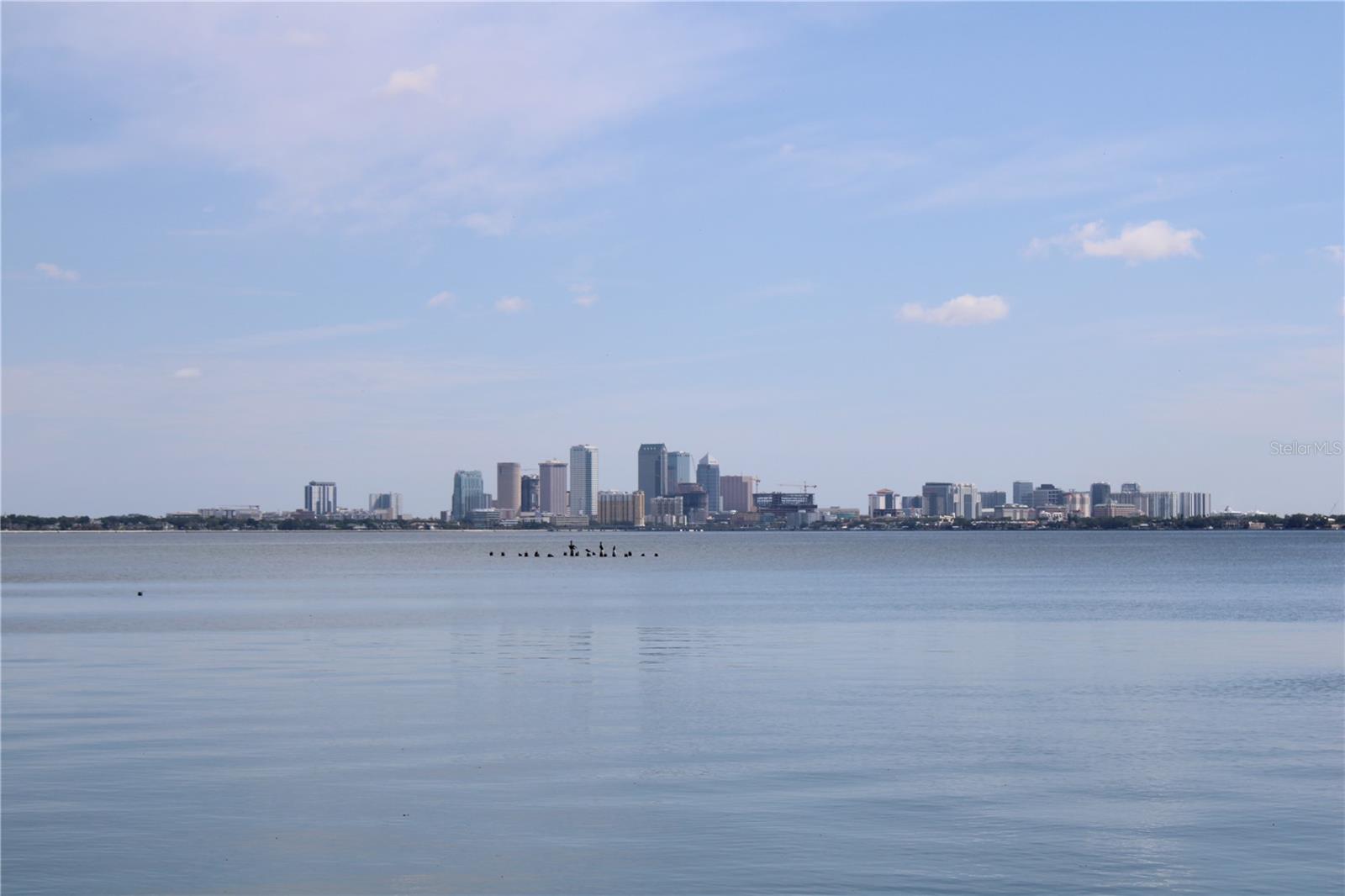 4950 BAYSHORE BLVD #25D, TAMPA, FL, 33611