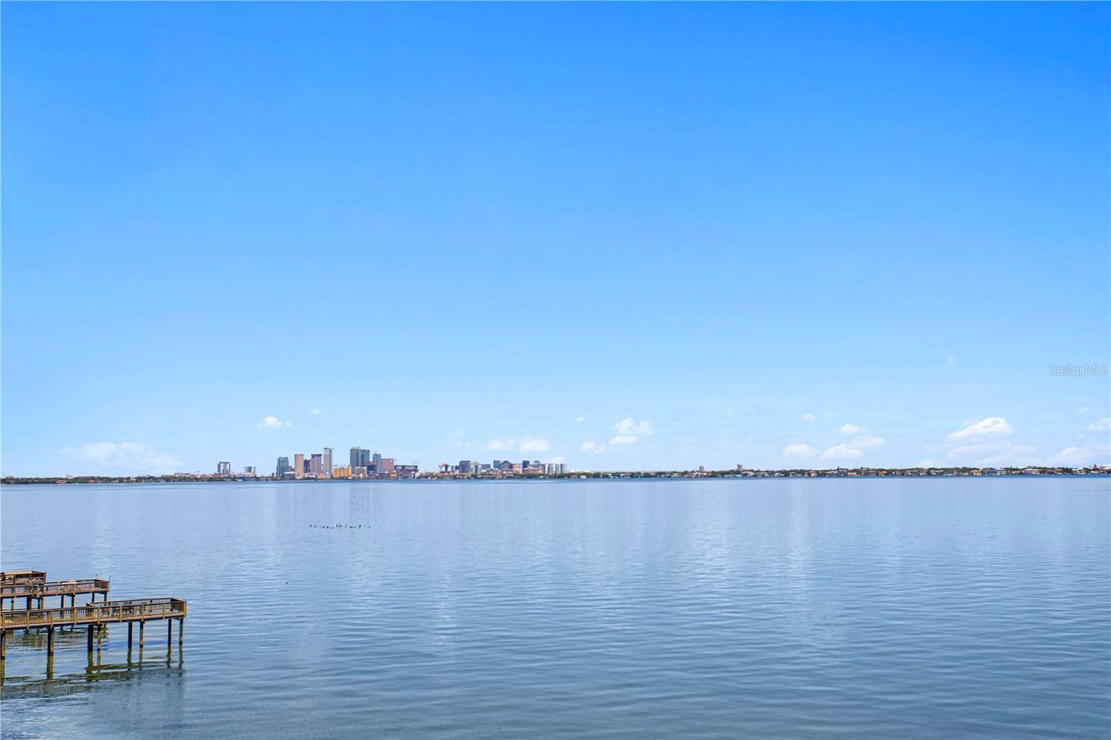 4950 BAYSHORE BLVD #25D, TAMPA, FL, 33611