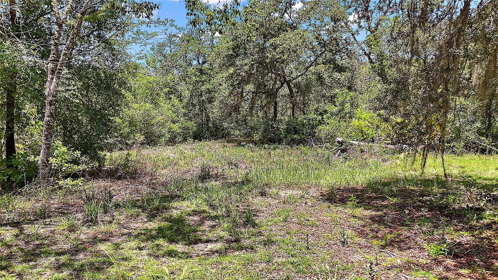 0 SE 197TH AVE, OCKLAWAHA, FL, 32179