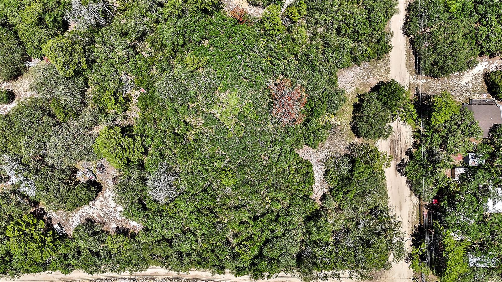 0 SE 197TH AVE, OCKLAWAHA, FL, 32179