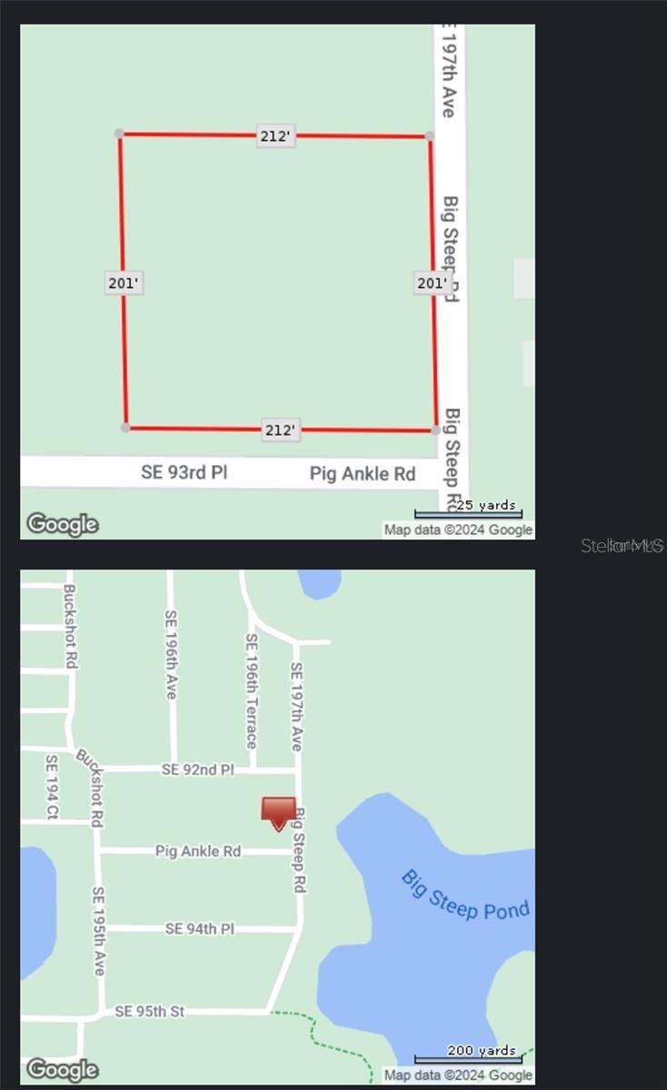0 SE 197TH AVE, OCKLAWAHA, FL, 32179
