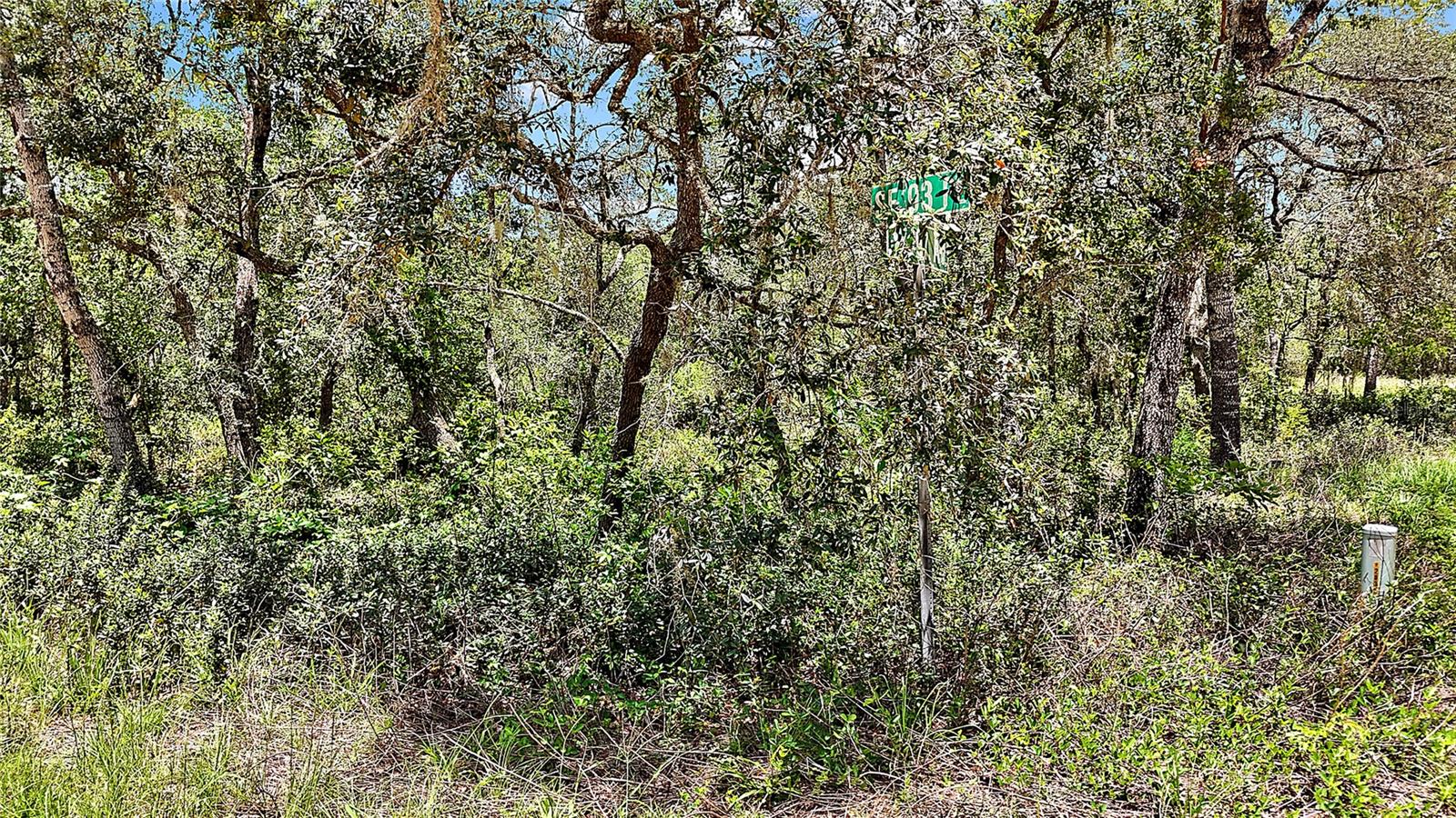0 SE 197TH AVE, OCKLAWAHA, FL, 32179