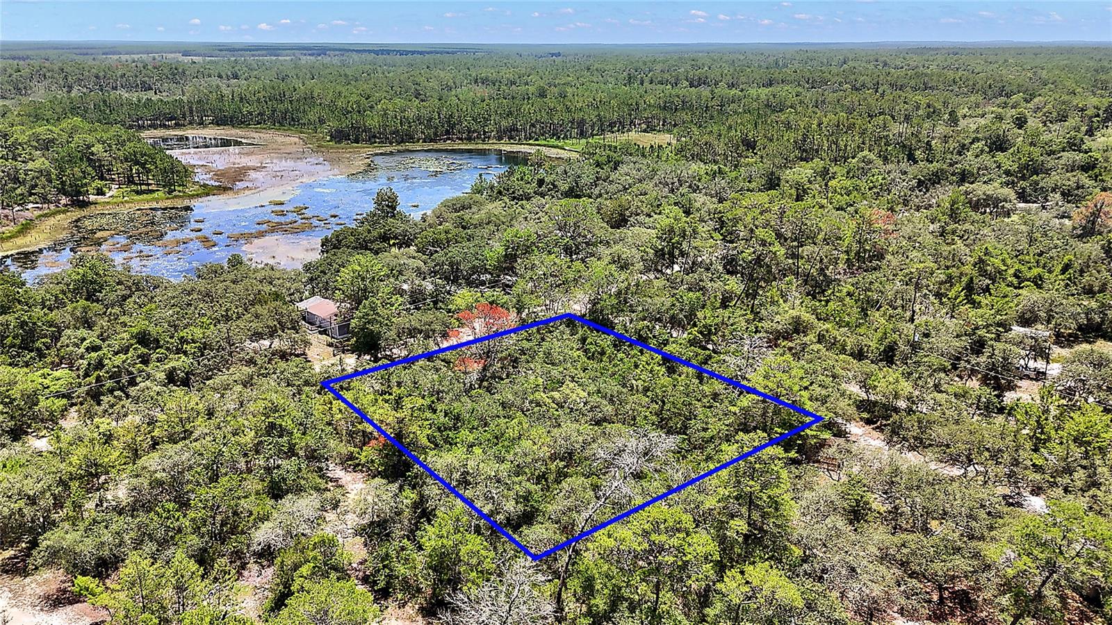 0 SE 197TH AVE, OCKLAWAHA, FL, 32179