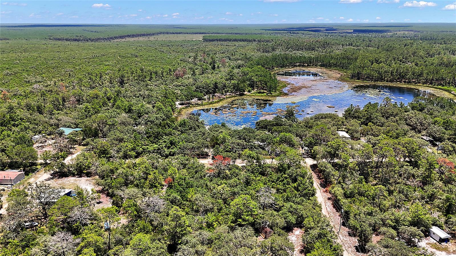 0 SE 197TH AVE, OCKLAWAHA, FL, 32179