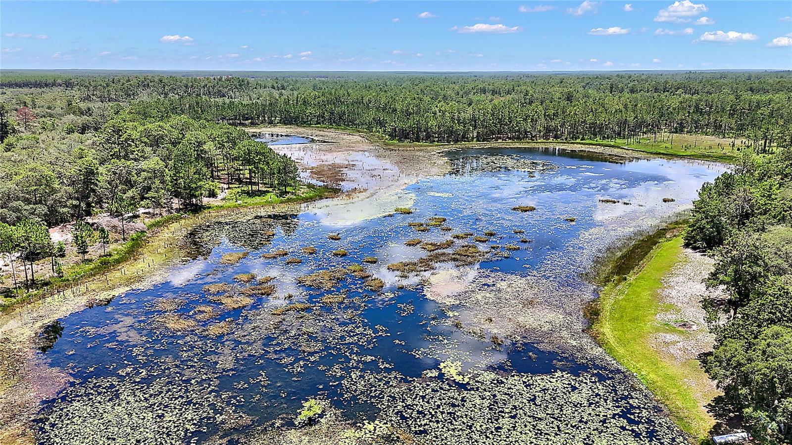 0 SE 197TH AVE, OCKLAWAHA, FL, 32179