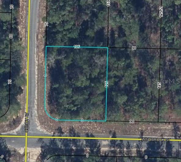 WINDBROOK ST, CHIPLEY, FL, 32428