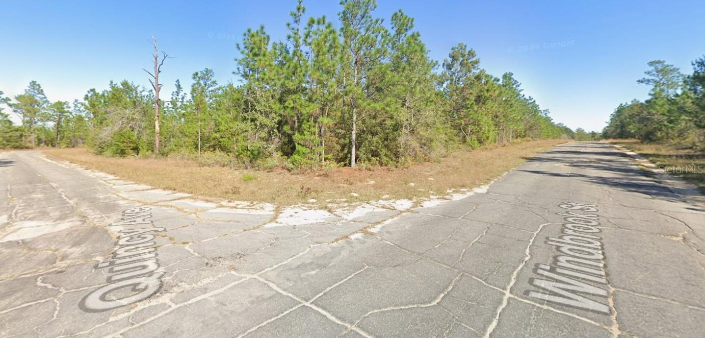 WINDBROOK ST, CHIPLEY, FL, 32428