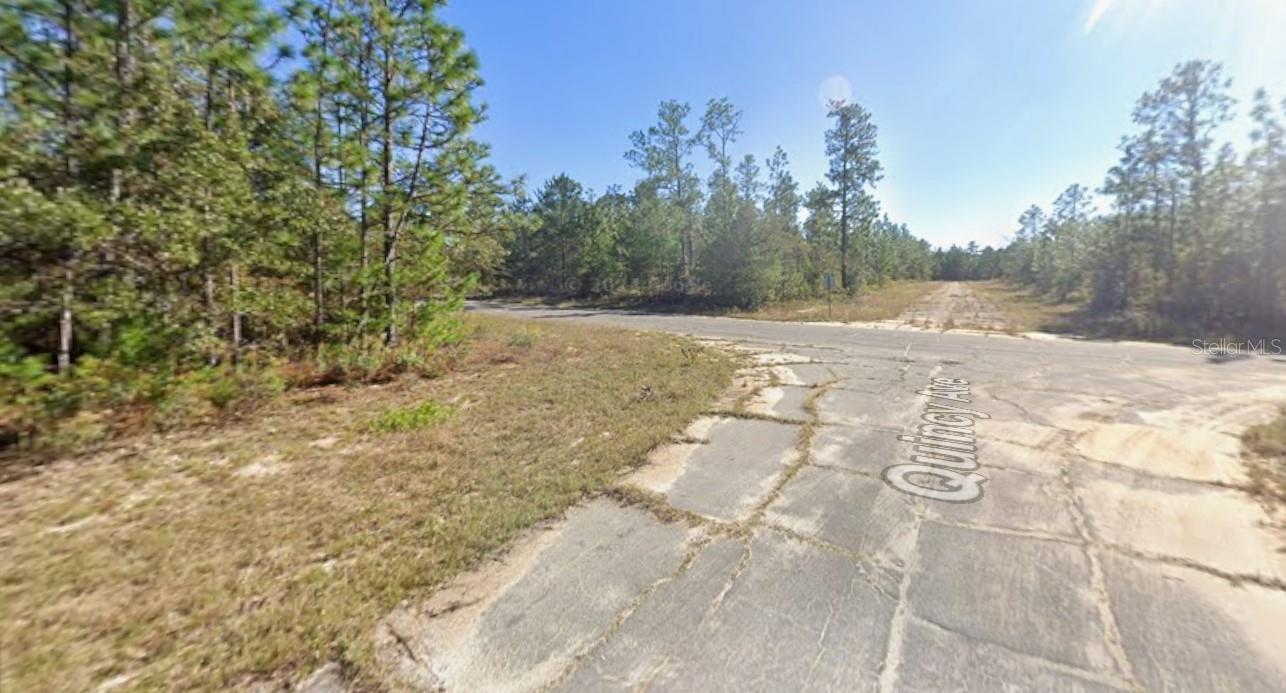 WINDBROOK ST, CHIPLEY, FL, 32428