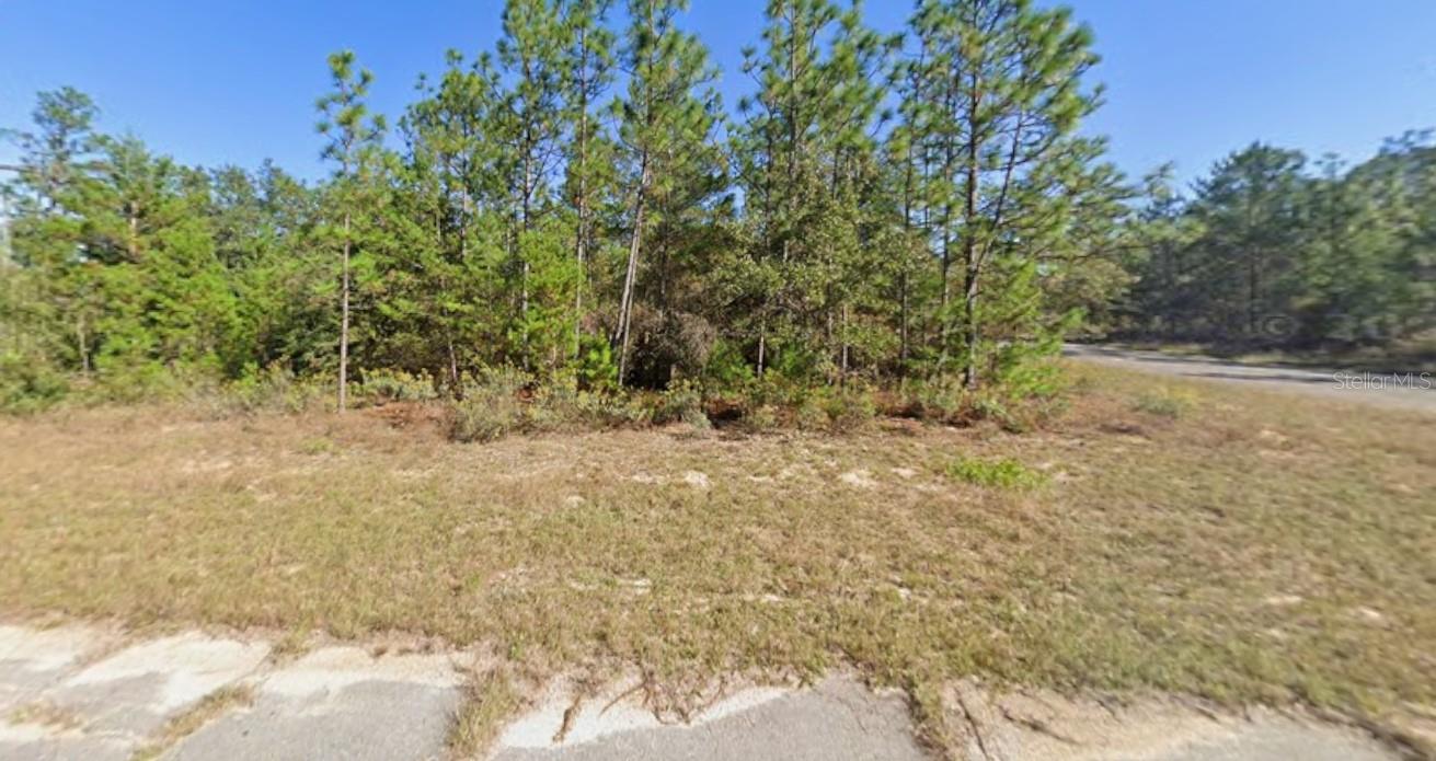 WINDBROOK ST, CHIPLEY, FL, 32428
