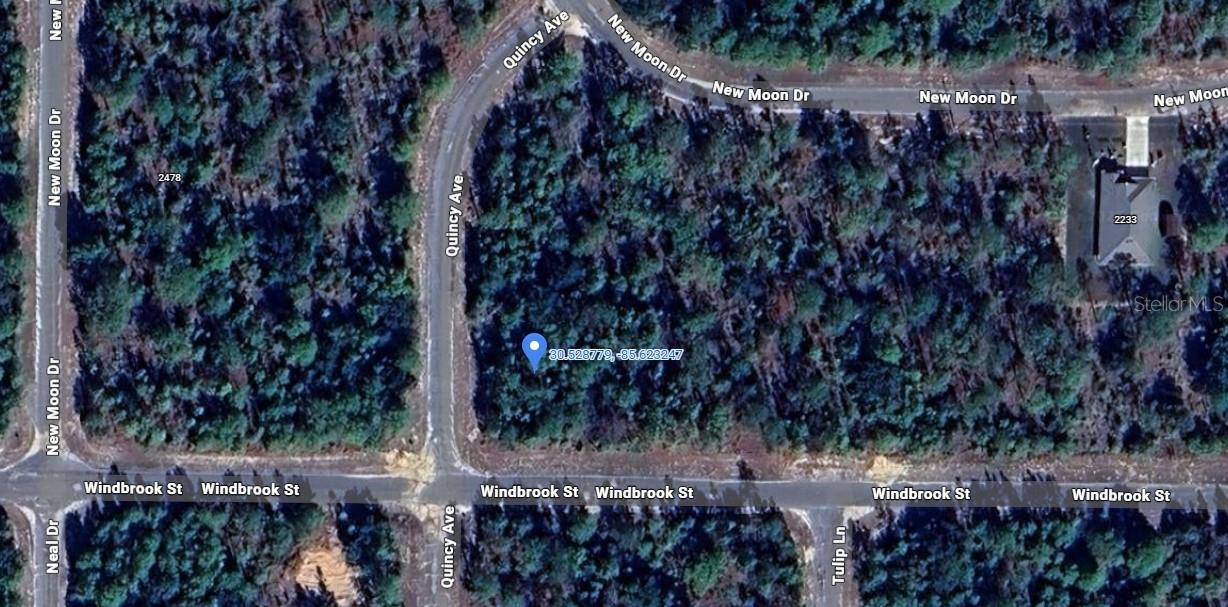 WINDBROOK ST, CHIPLEY, FL, 32428