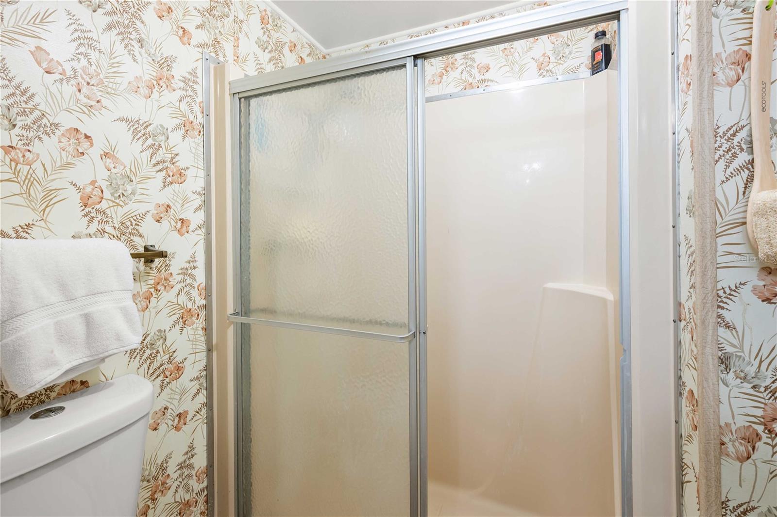 37913 SAGO PALM DR, ZEPHYRHILLS, FL, 33542