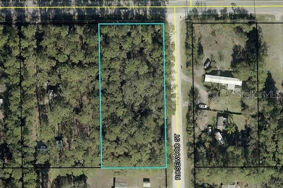 4611 MAHOGANY BLVD, BUNNELL, FL, 32110
