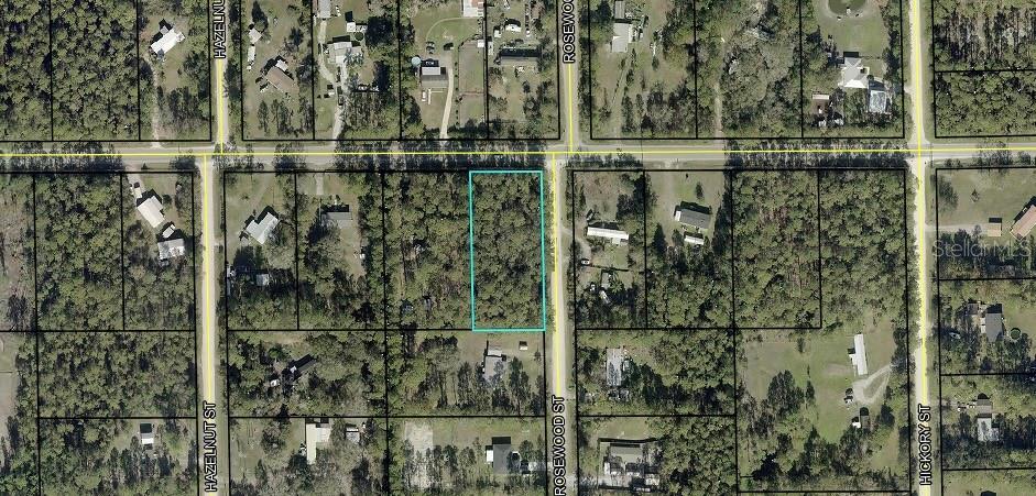 4611 MAHOGANY BLVD, BUNNELL, FL, 32110