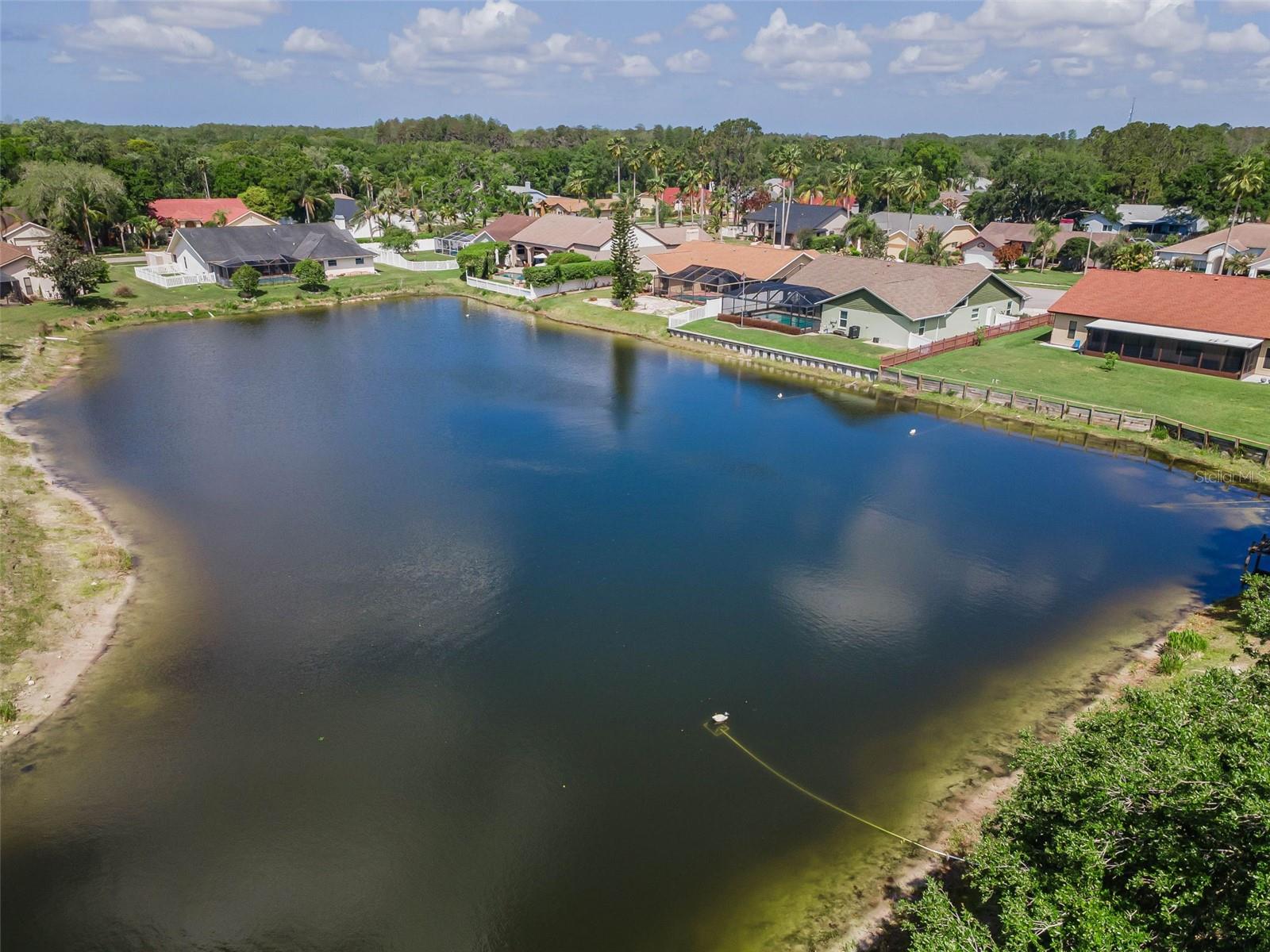 Lake behind property