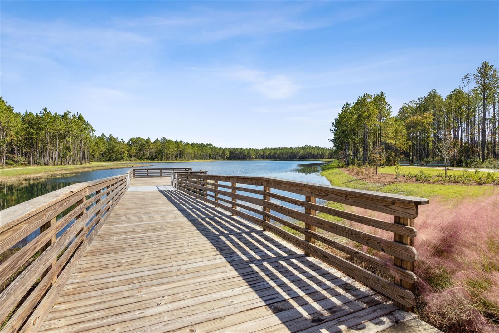 250 DAYDREAM AVE, YULEE, FL, 32097